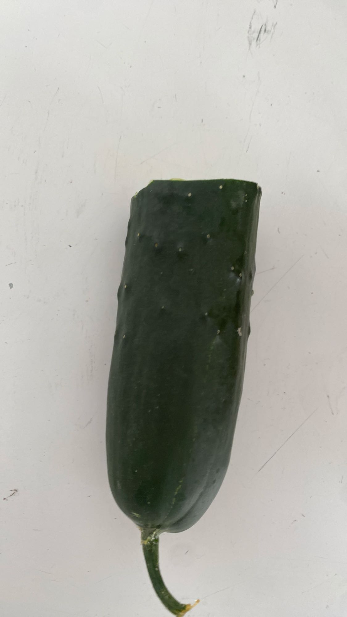Fresh Cucumber
