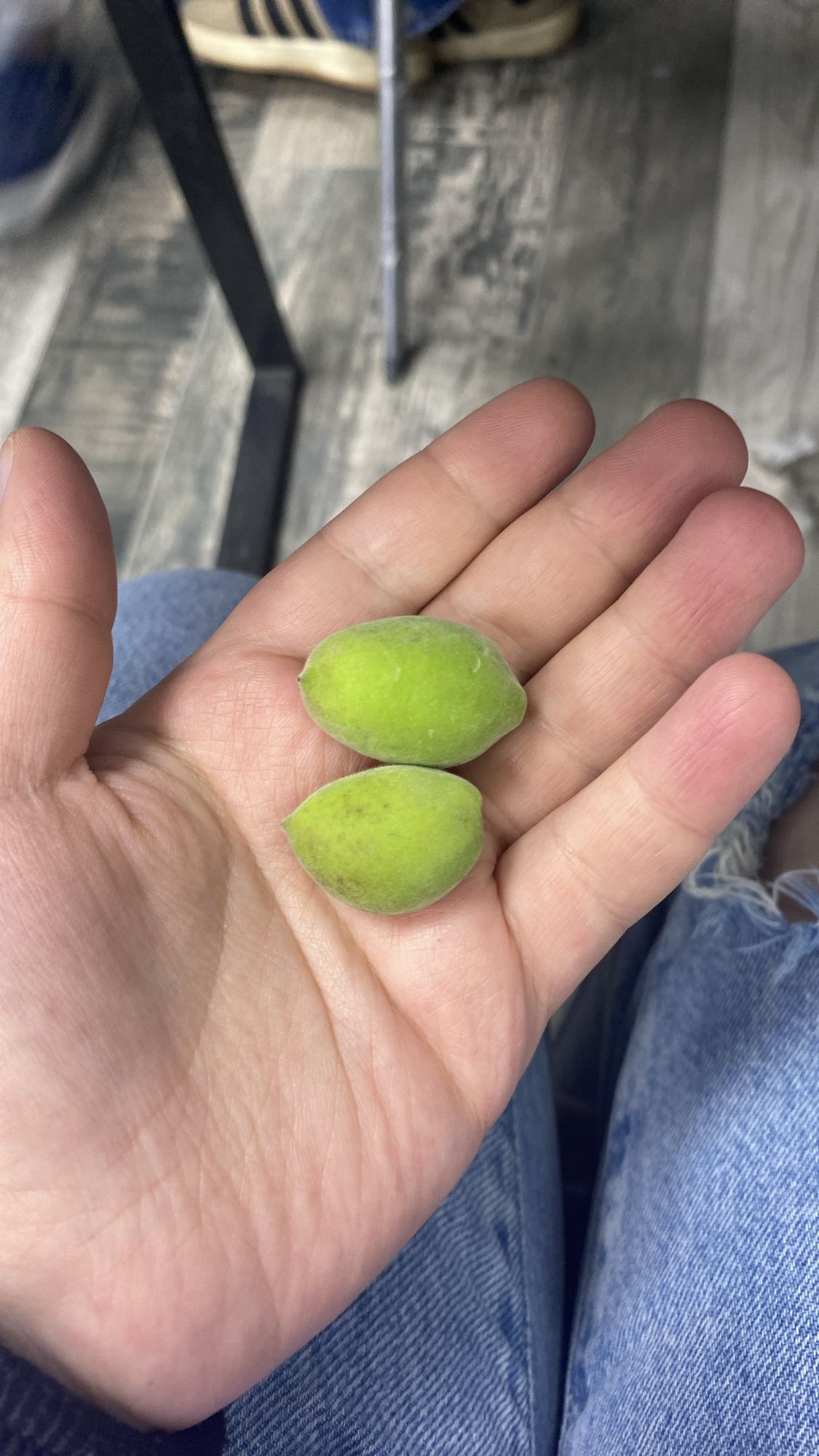 зелёный миндаль