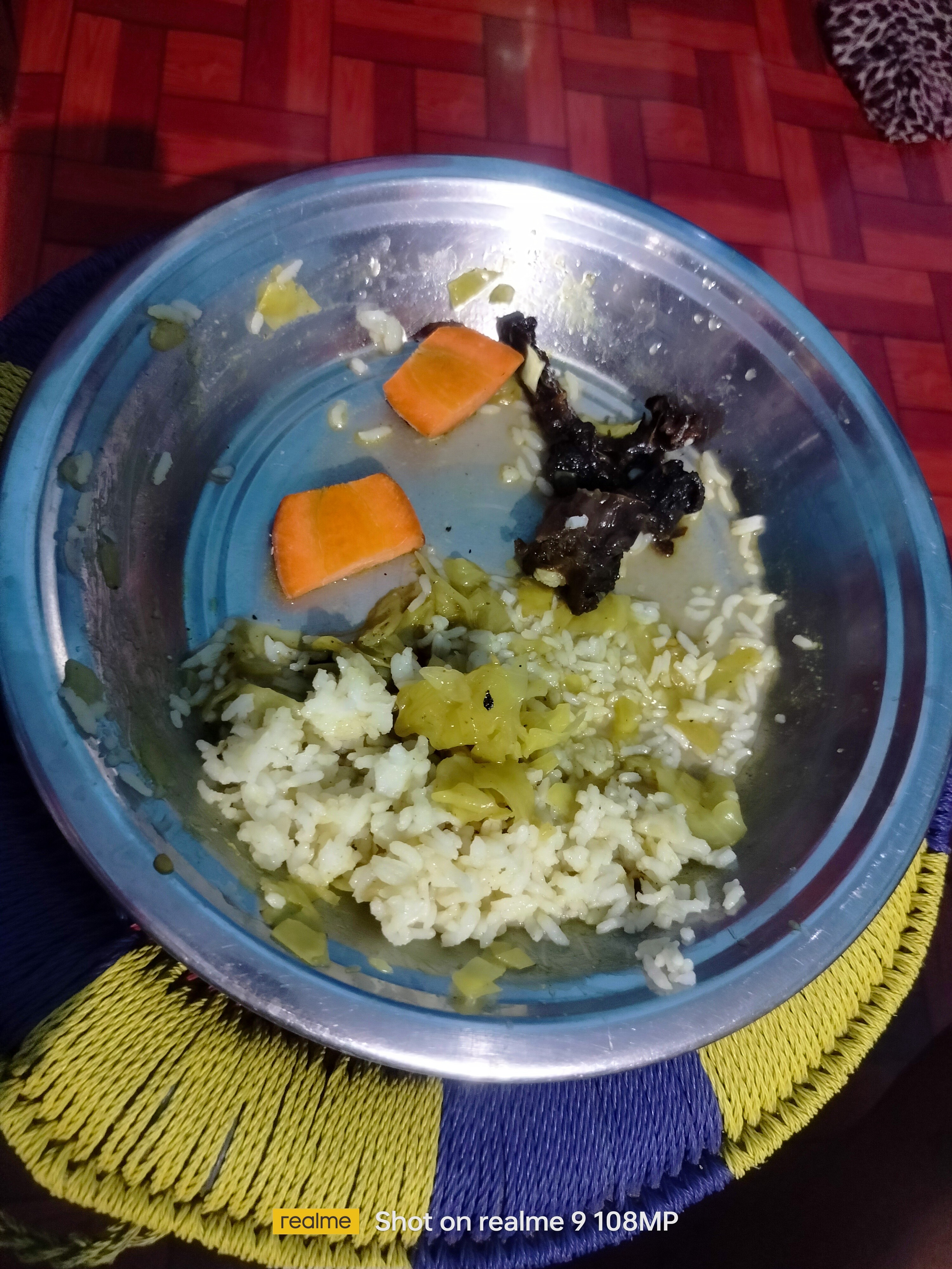 Rice with veggies and meat