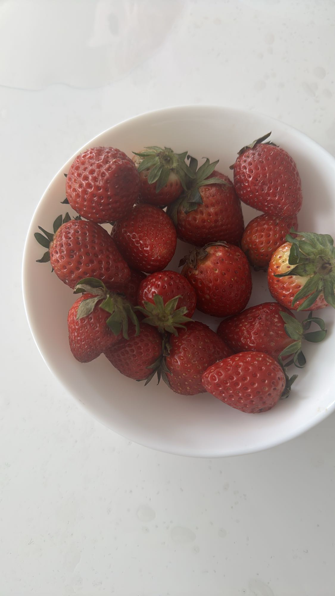 Frische Erdbeeren