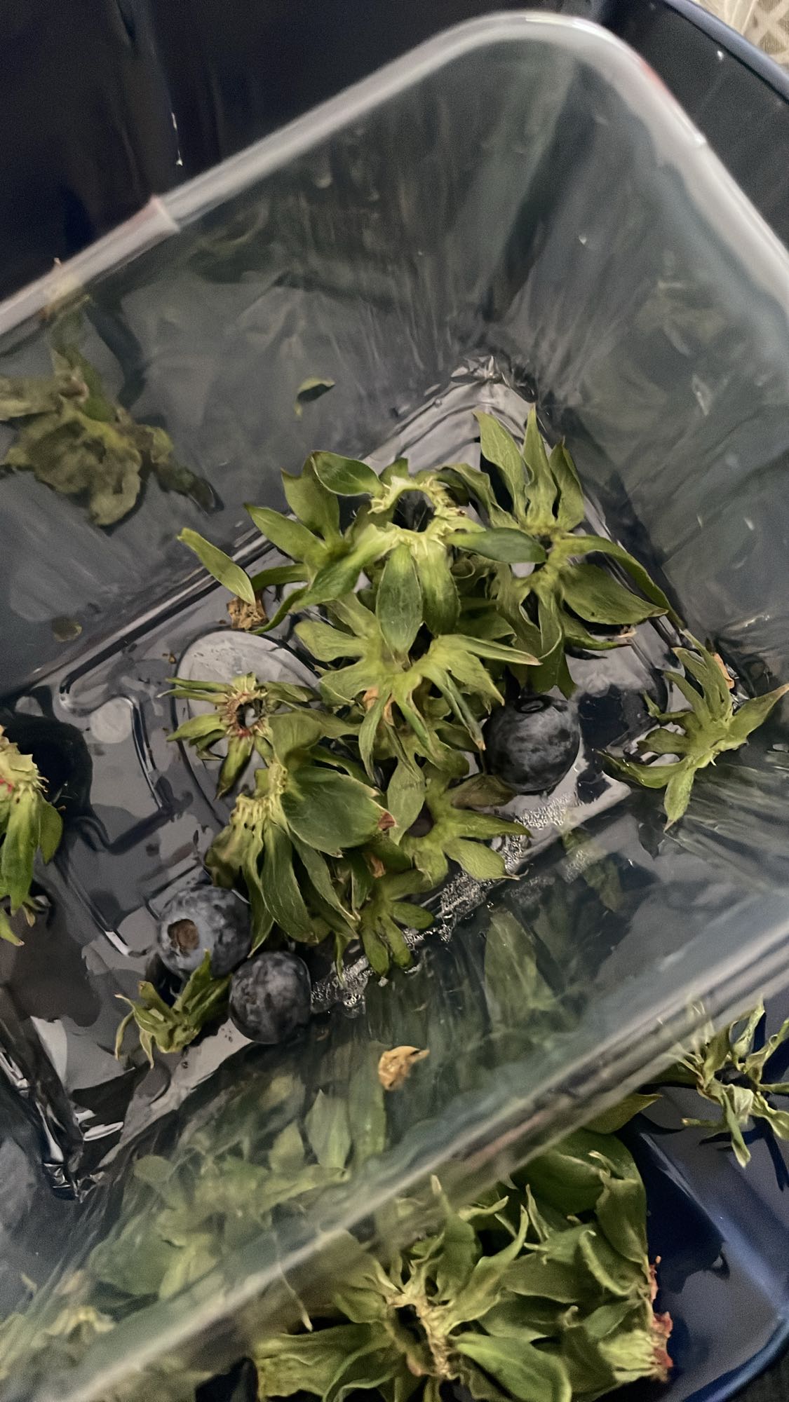 8 truskawek bez jagód