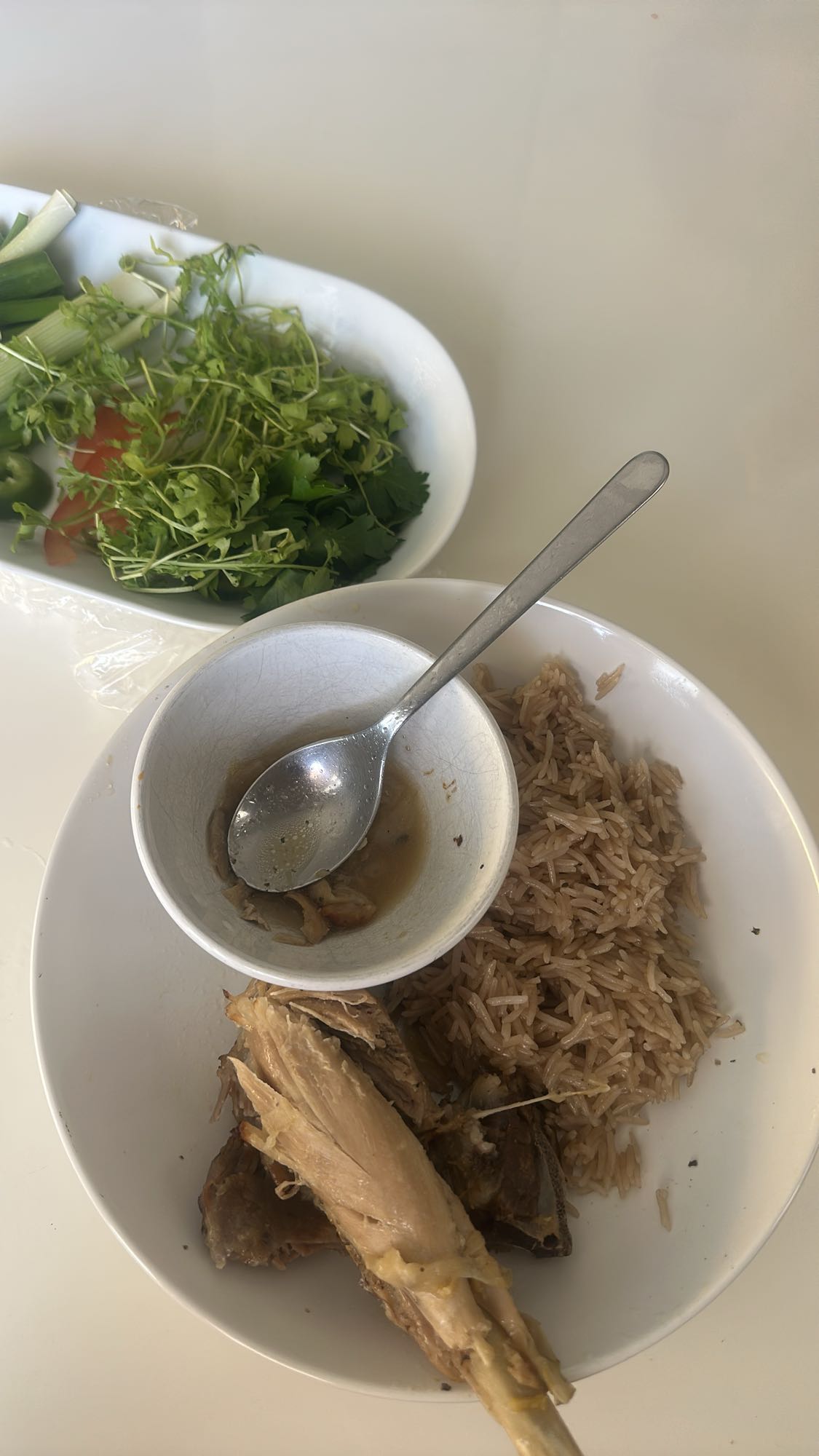 Kyckling med ris och örter