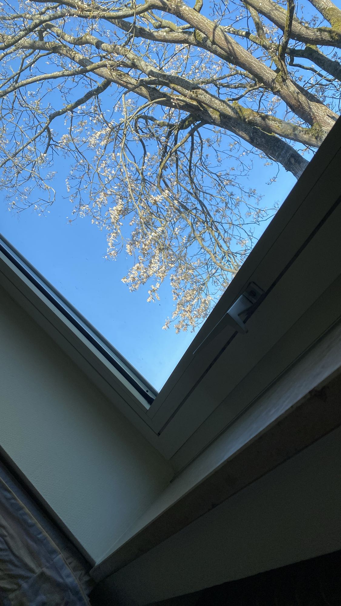 Error analyzing image