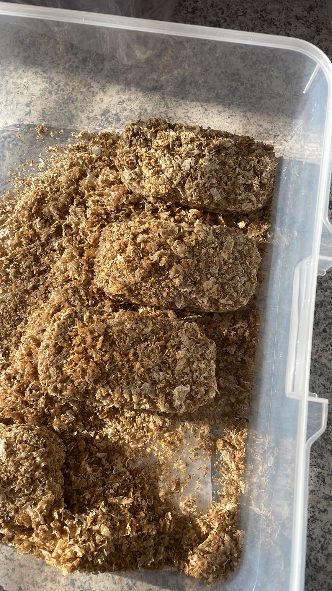 Polnozrnati kosmiči