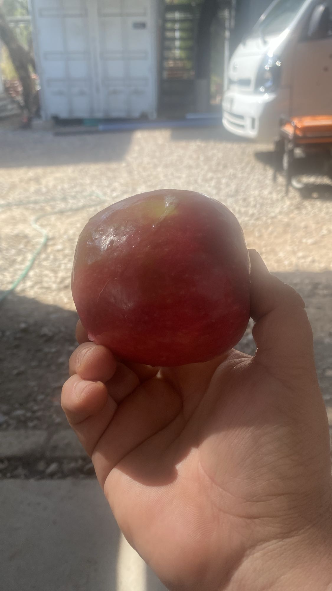 Manzana roja
