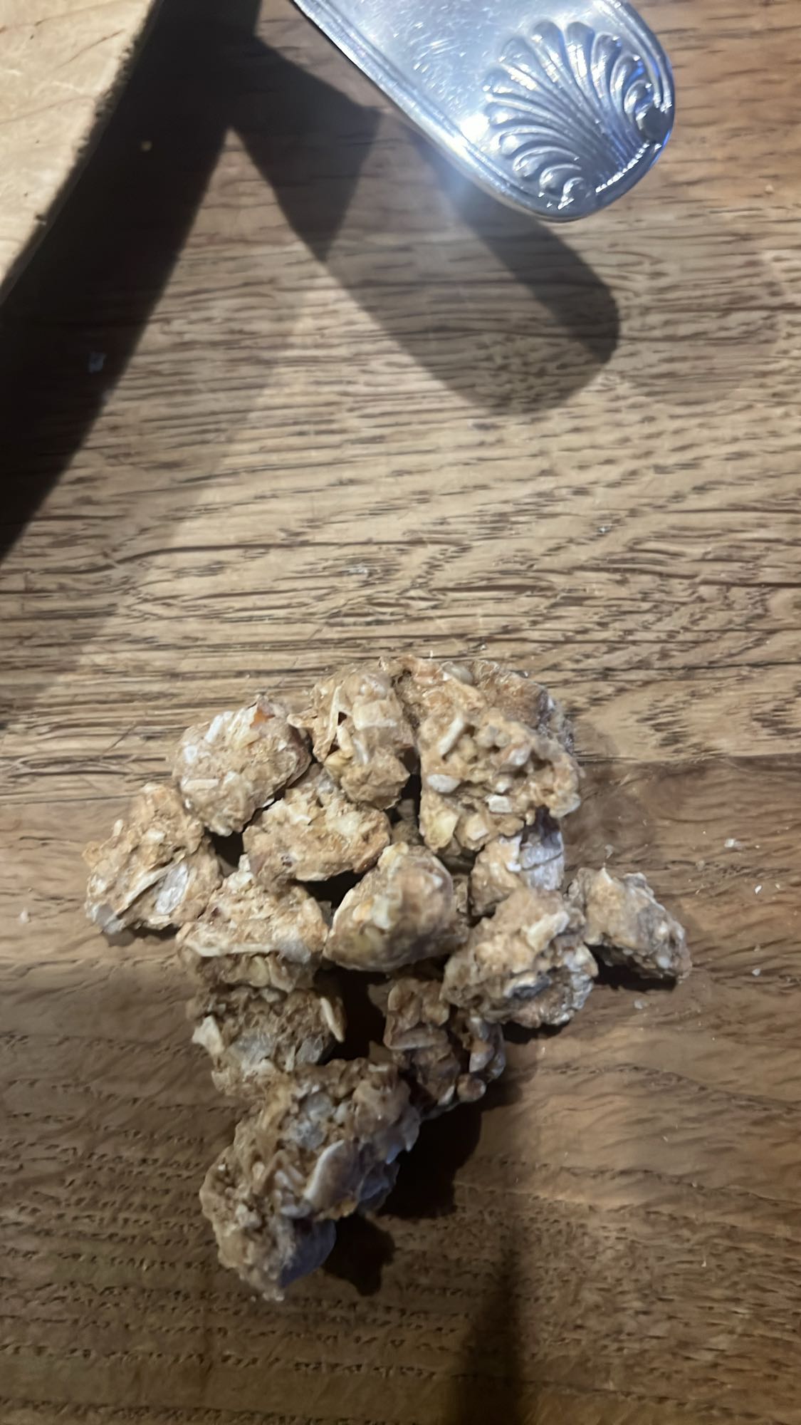 Granola croustillante