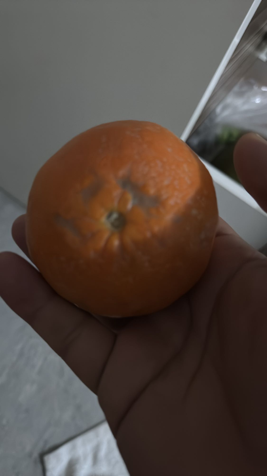 Mandarin Orange