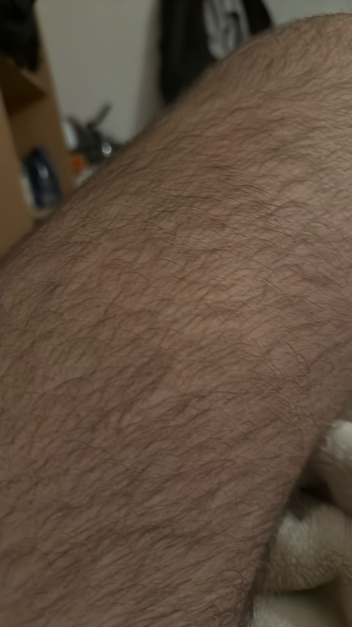 Vakt nuk është ushqim