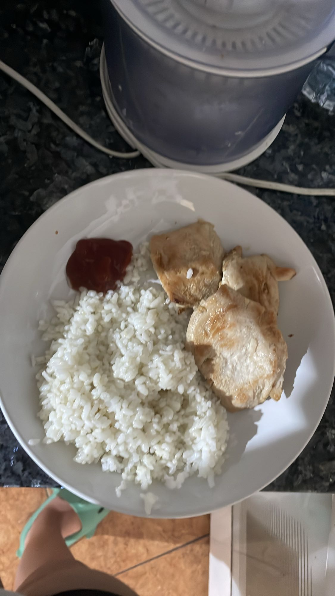 Pollo con arroz y salsa