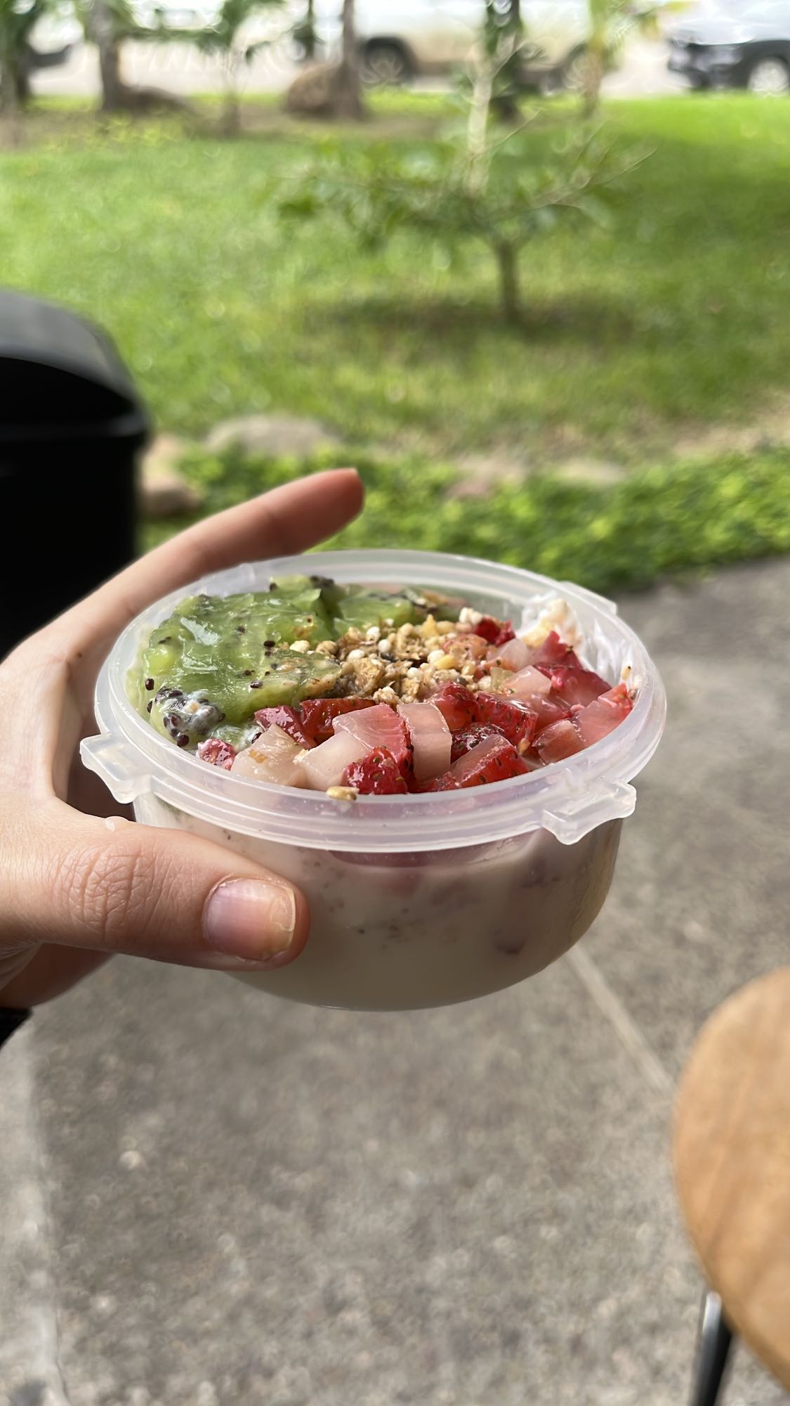 Tazón de frutas y yogur