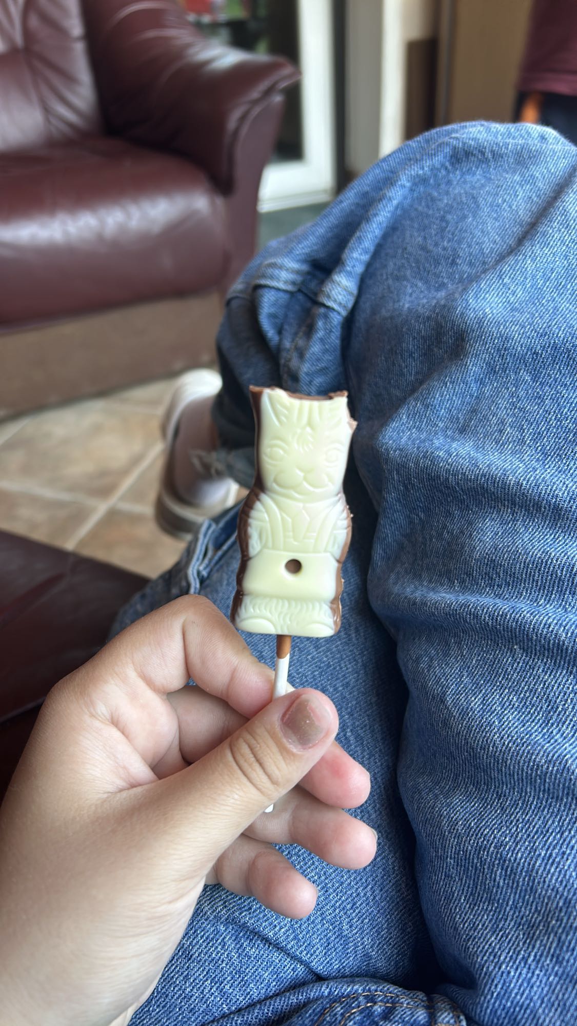 Chocolate animal pop