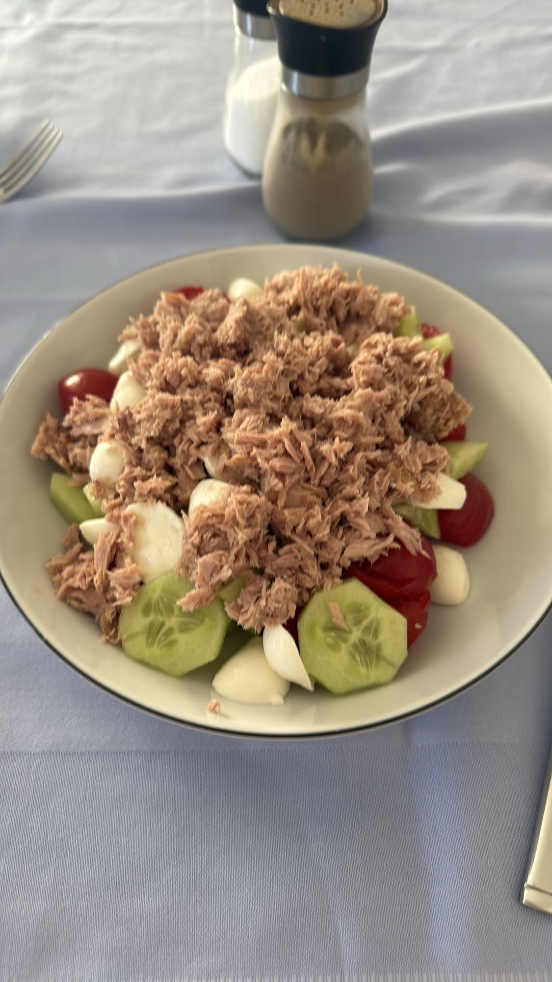 Thunfisch mit Tomate, Gurke und Mozzarella