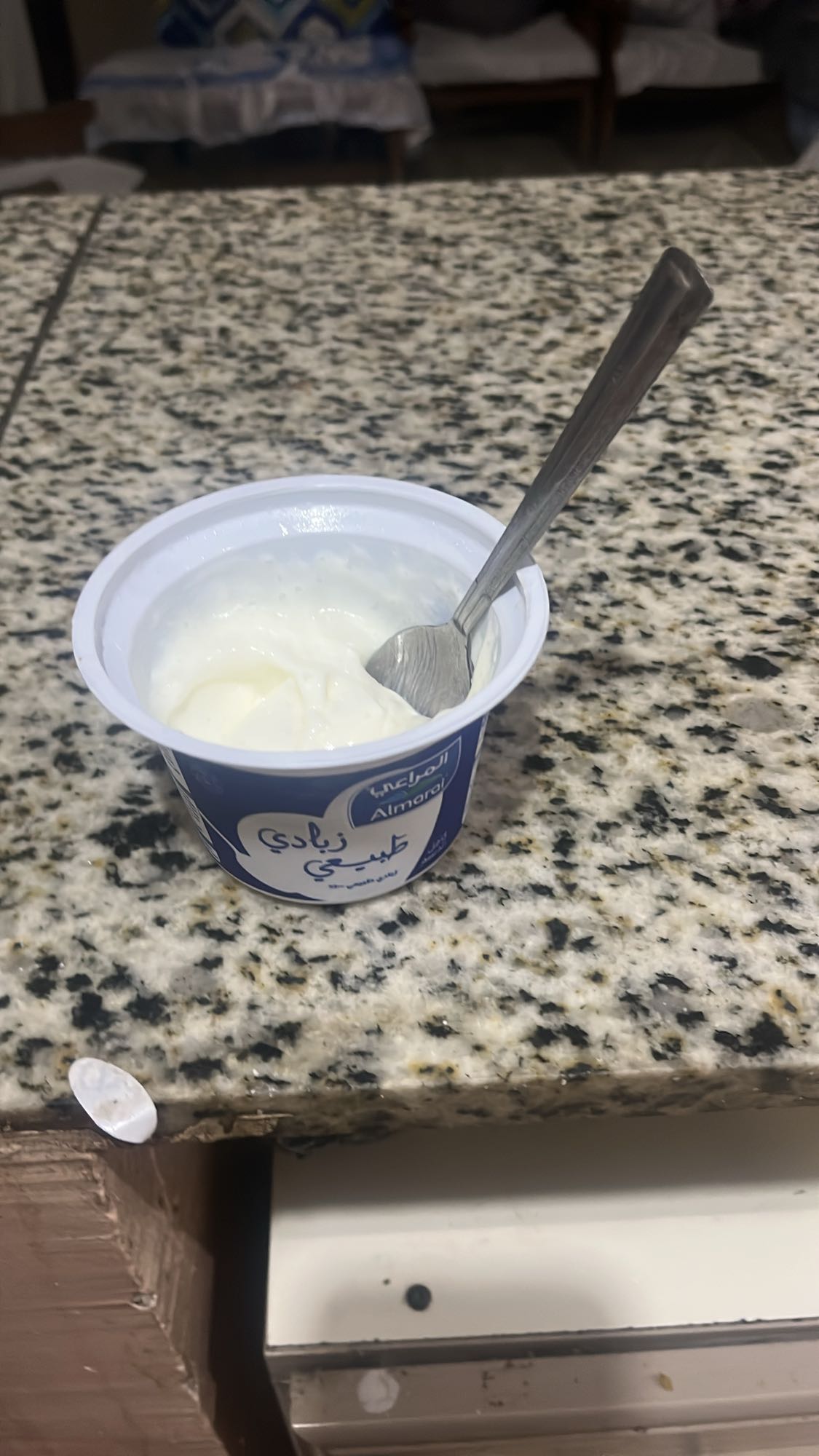 Plain Yogurt Cup