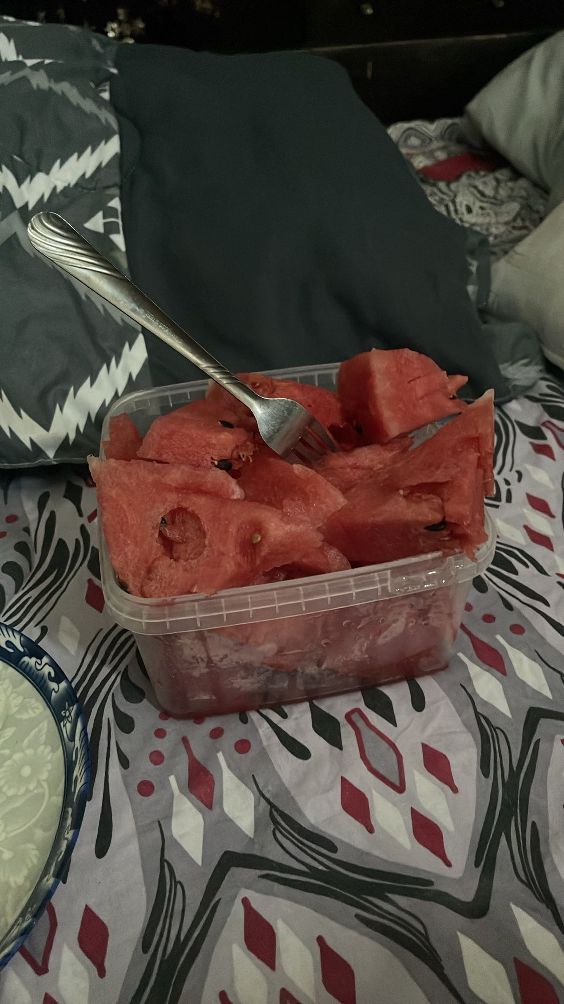 Watermelon Snack