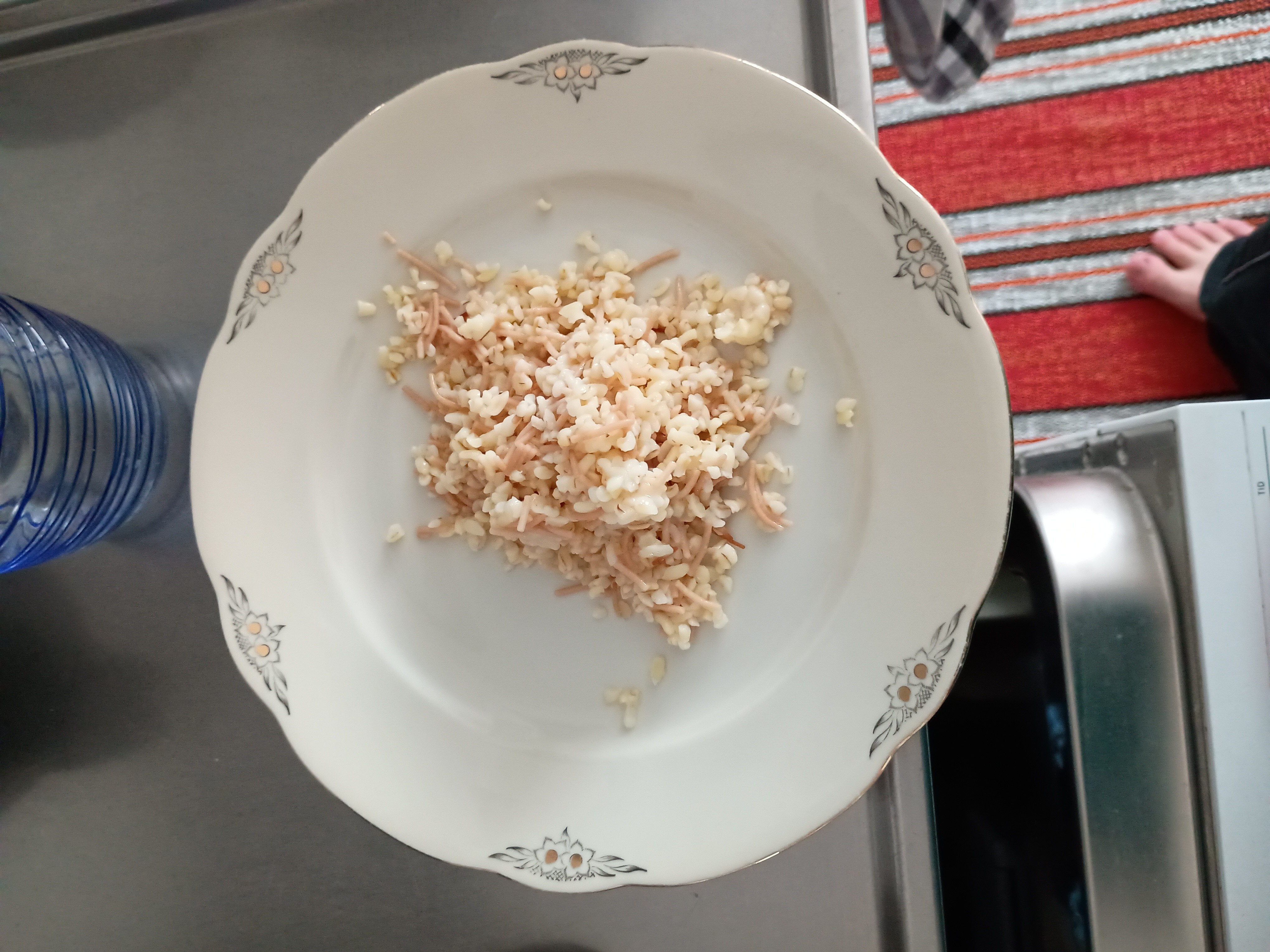 Rice and shredded chicken