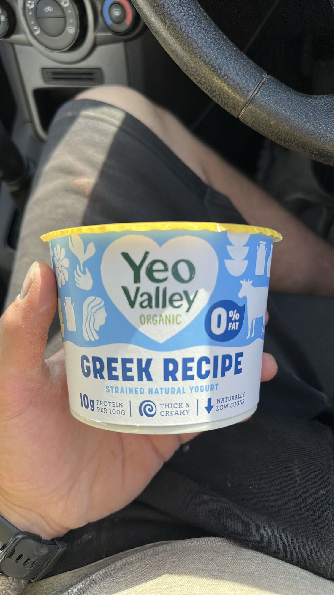 Greek Yogurt Snack