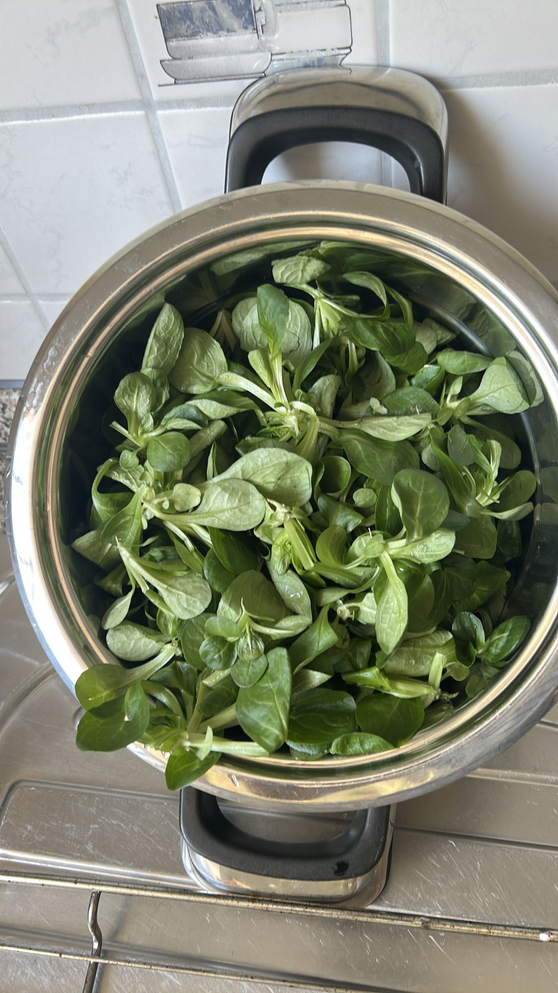 Ensalada de canónigos