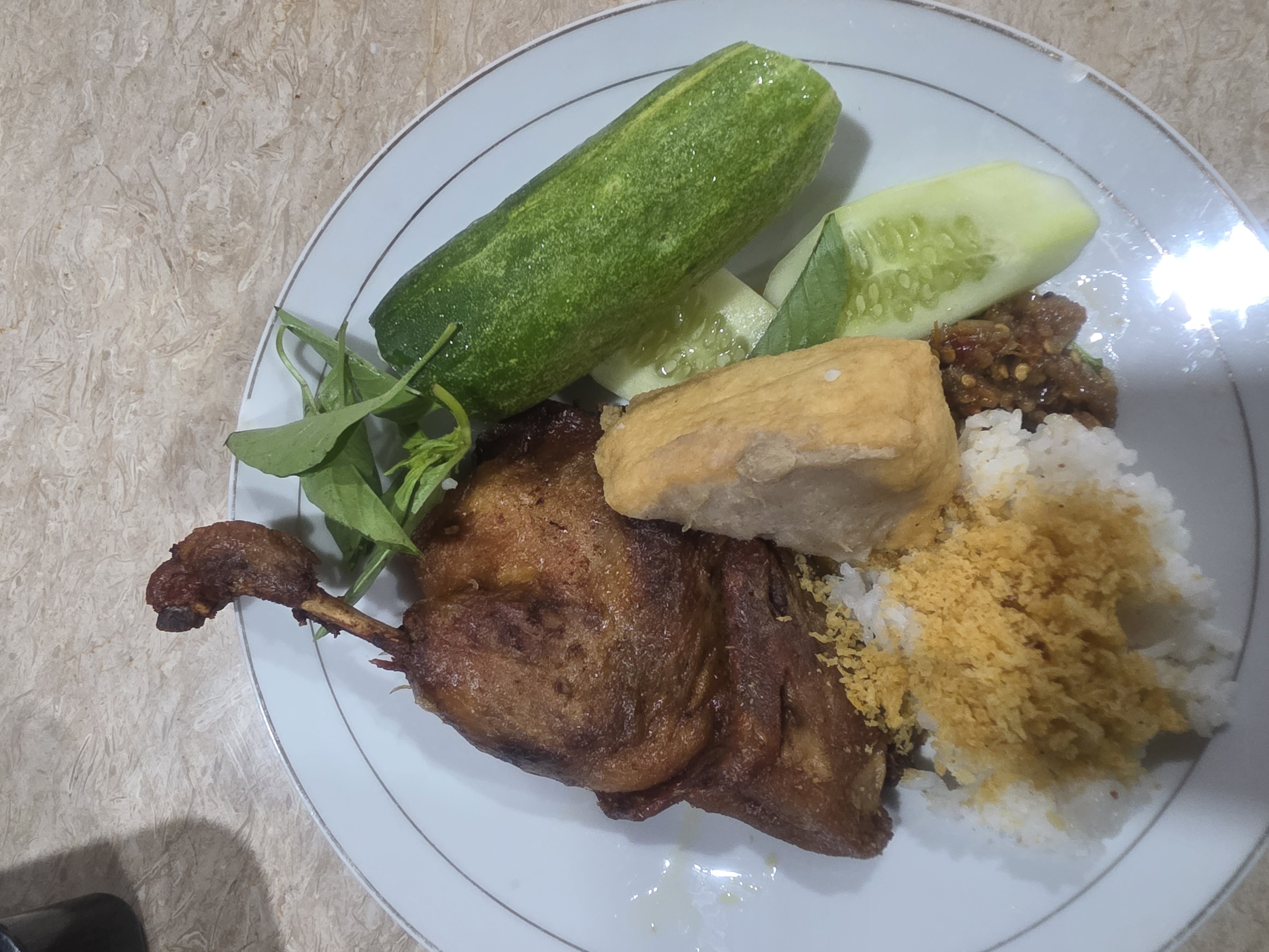 Fried Duck Rice Plate