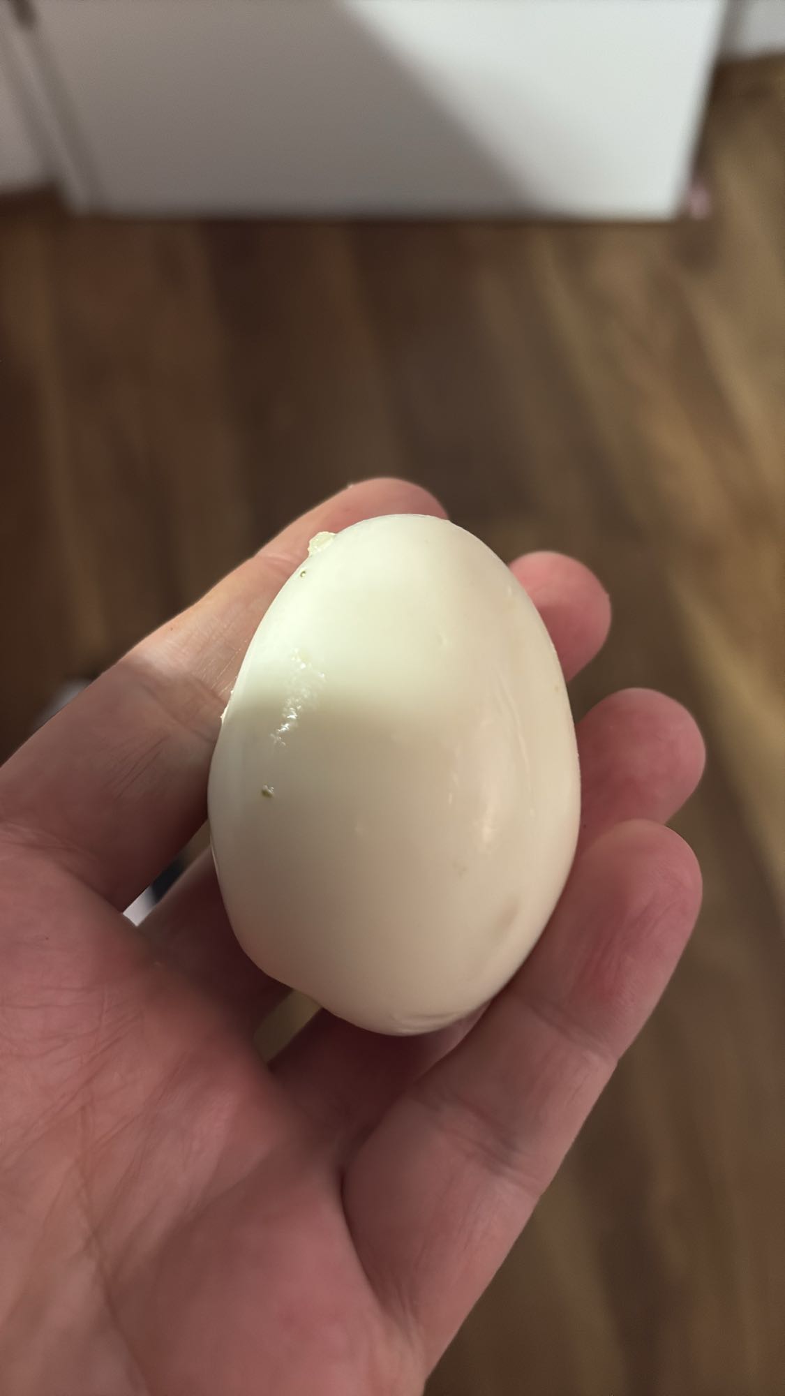 Boiled Egg