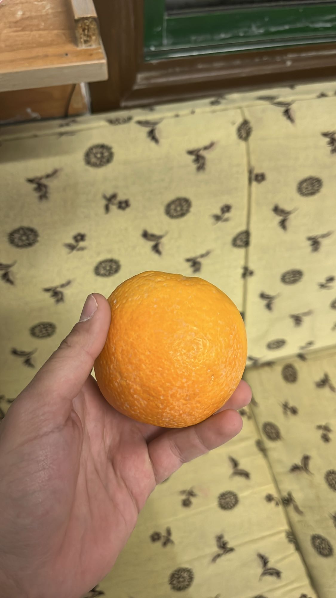 Fresh Orange