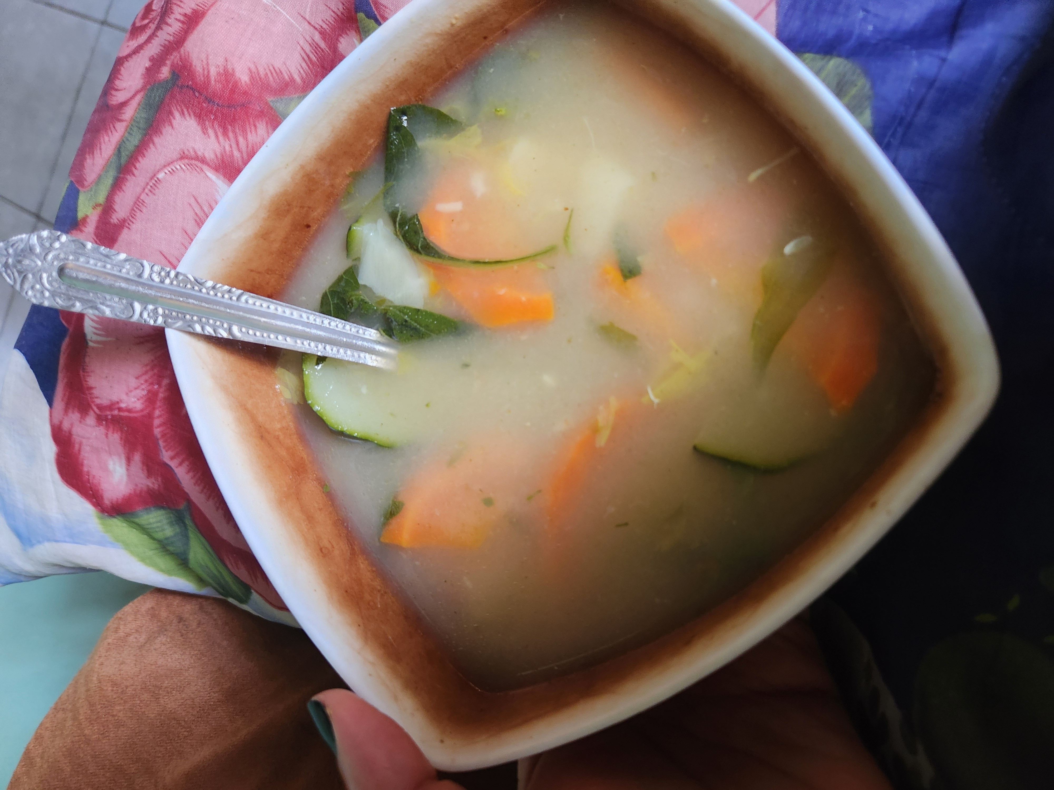 Sopa de verduras