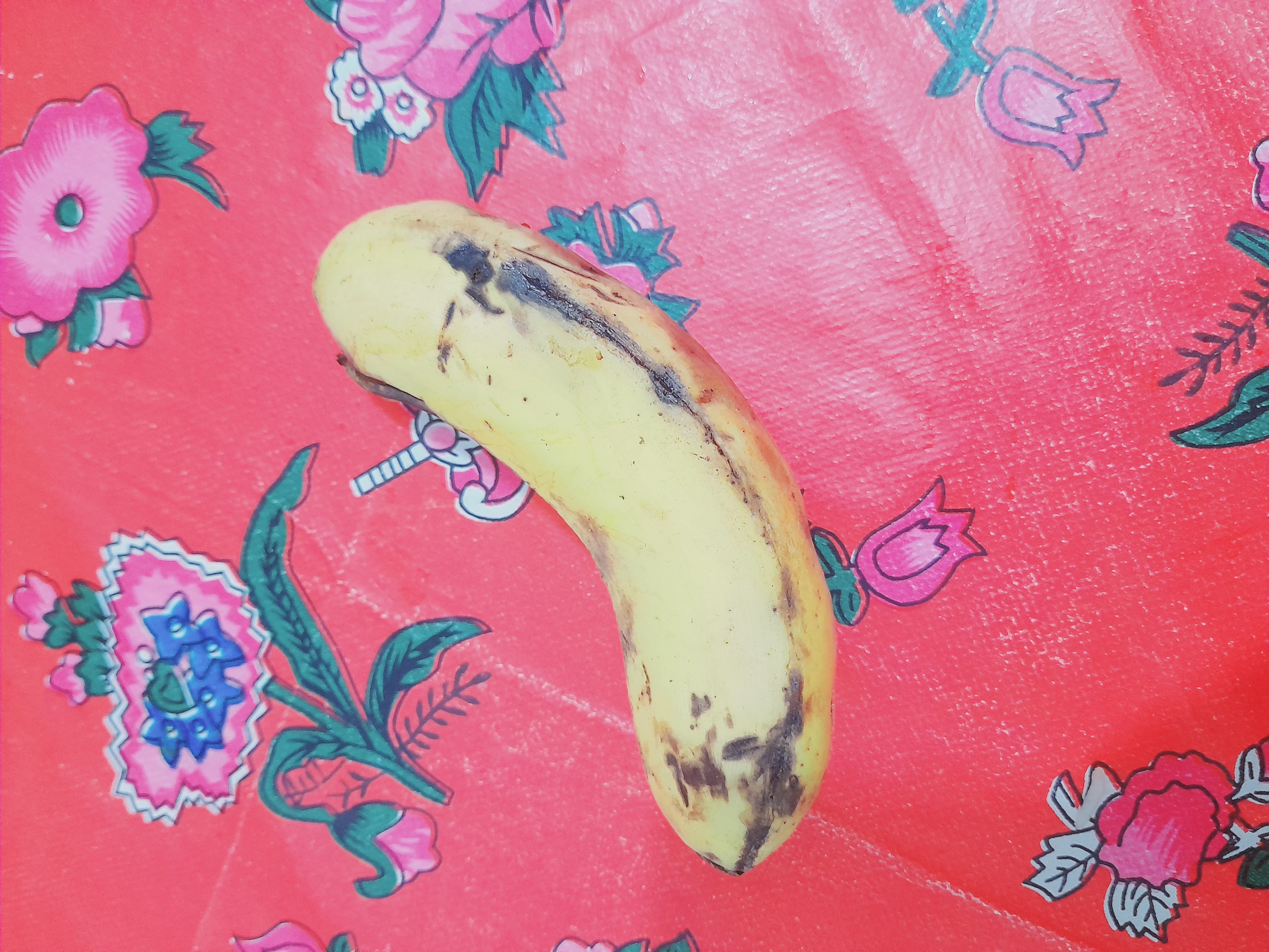 Single Banana