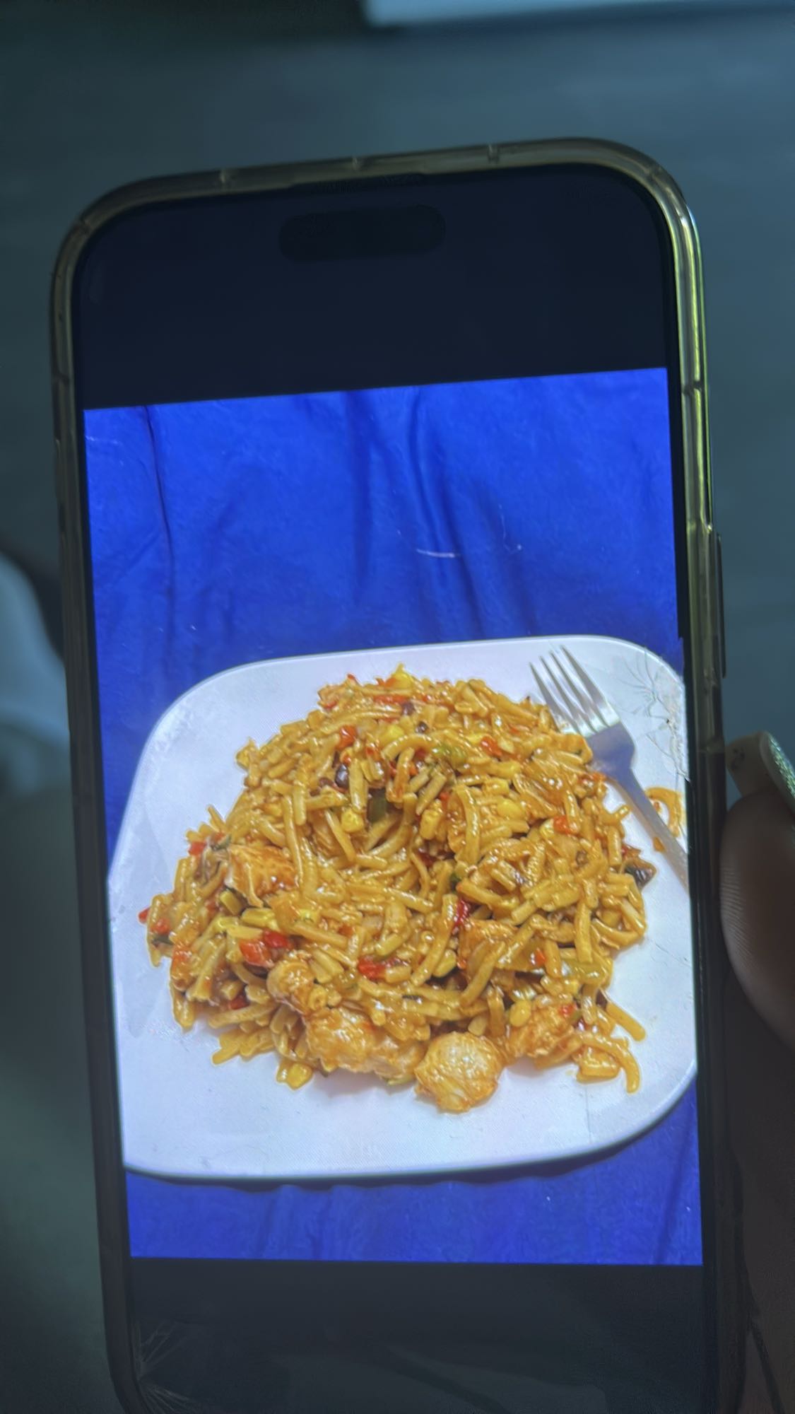 Sebzeli tavuklu noodle