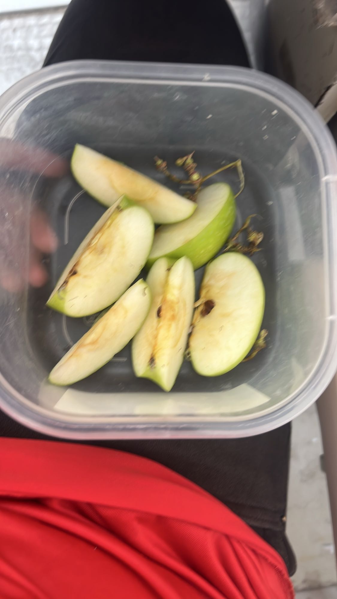 Manzana en rodajas