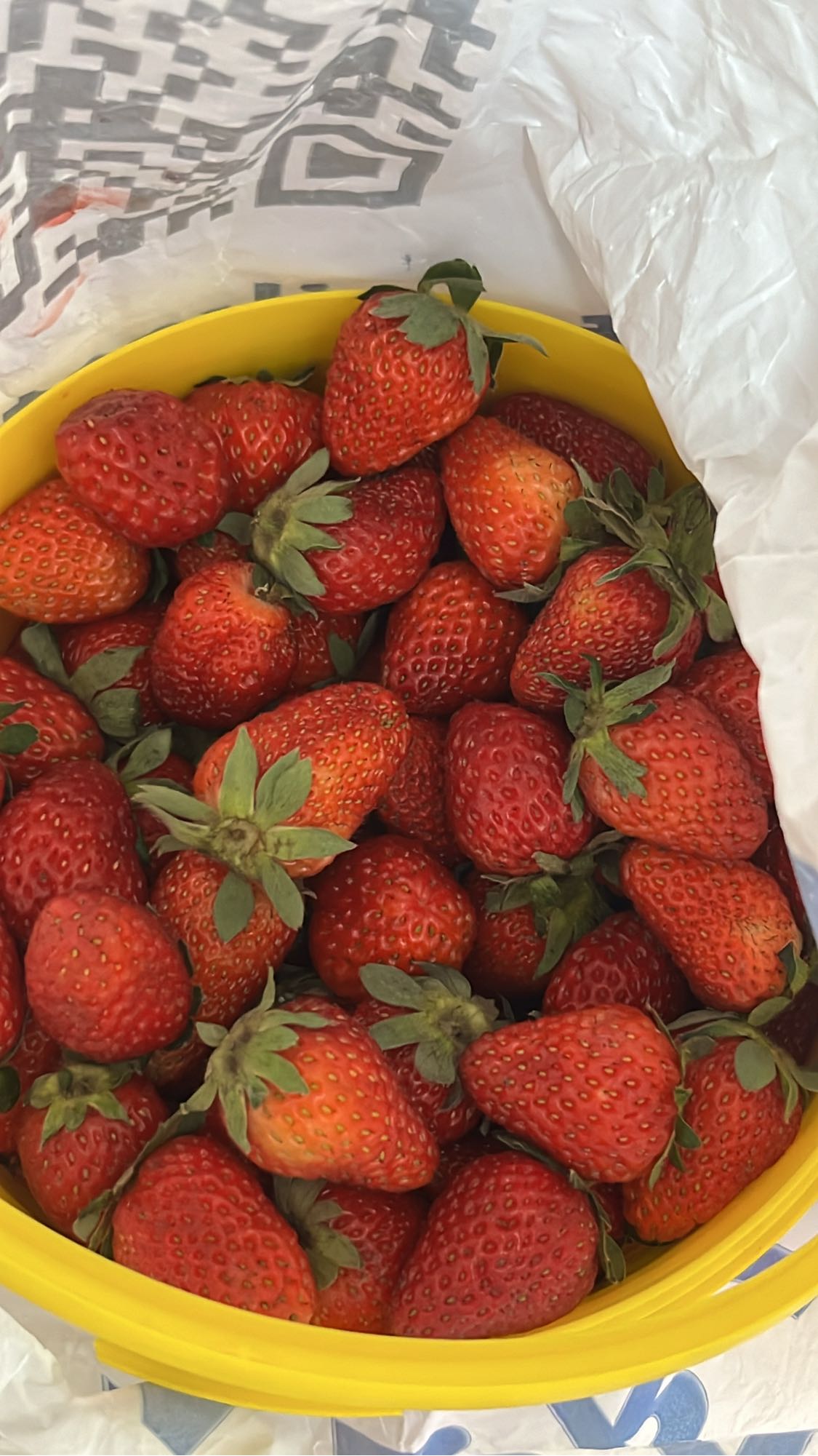 Fresh Strawberries