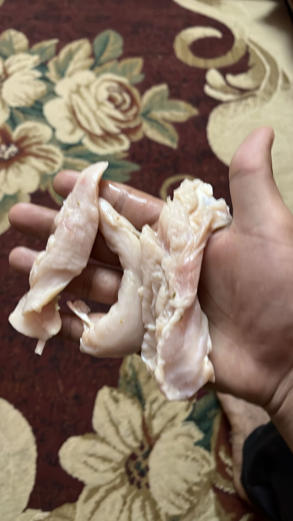 Raw Chicken Breast