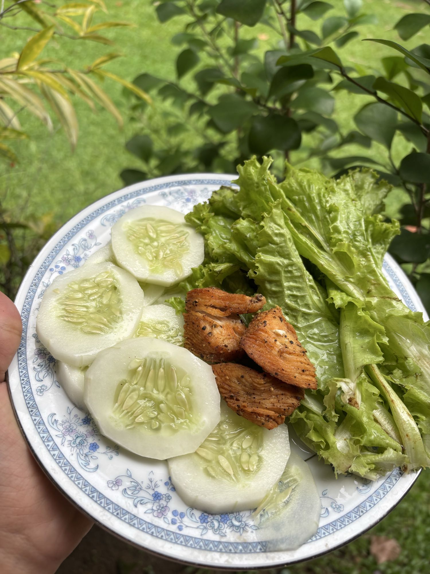 Grilled Chicken Salad