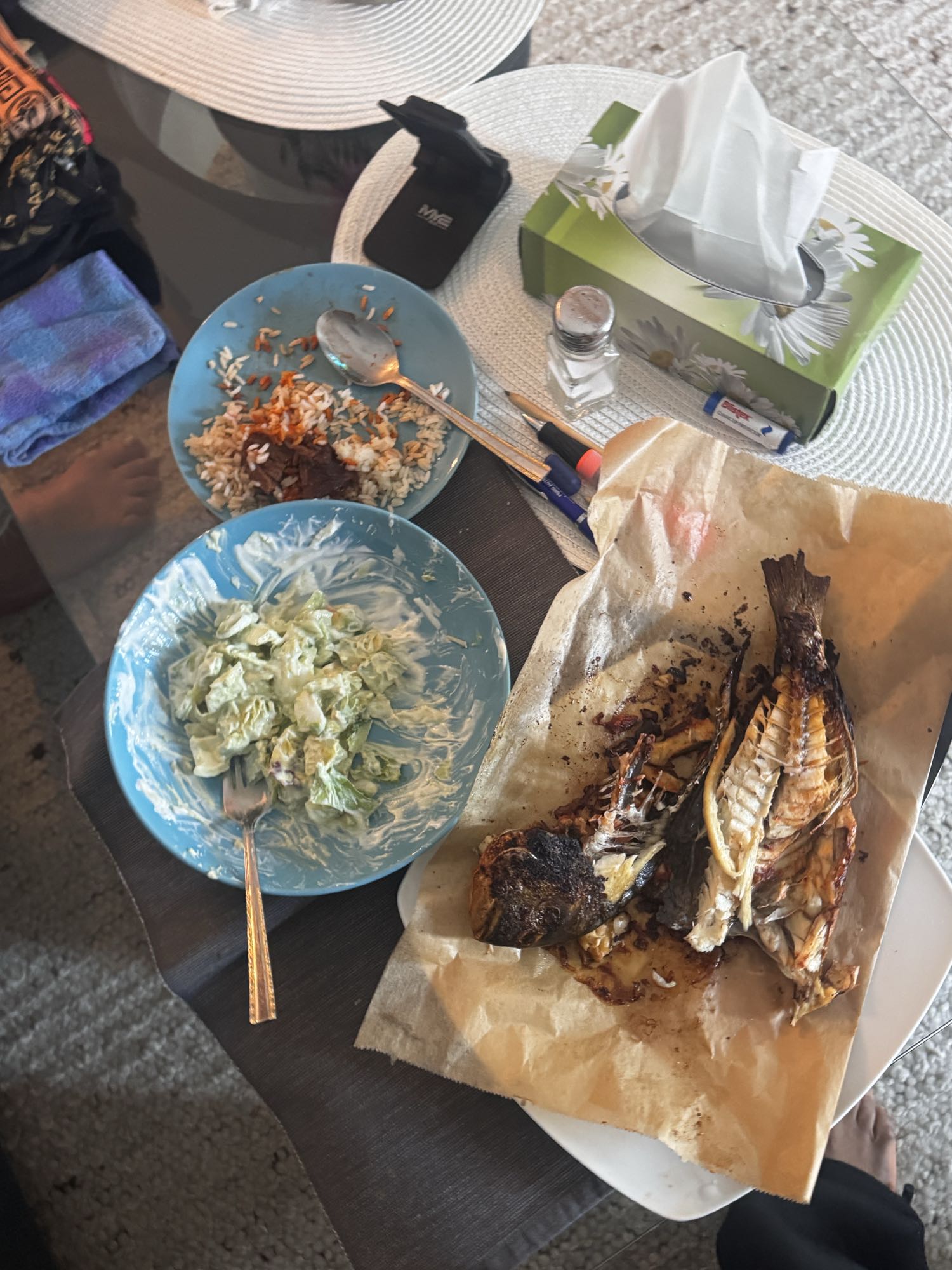 Grilled Fish with Rice