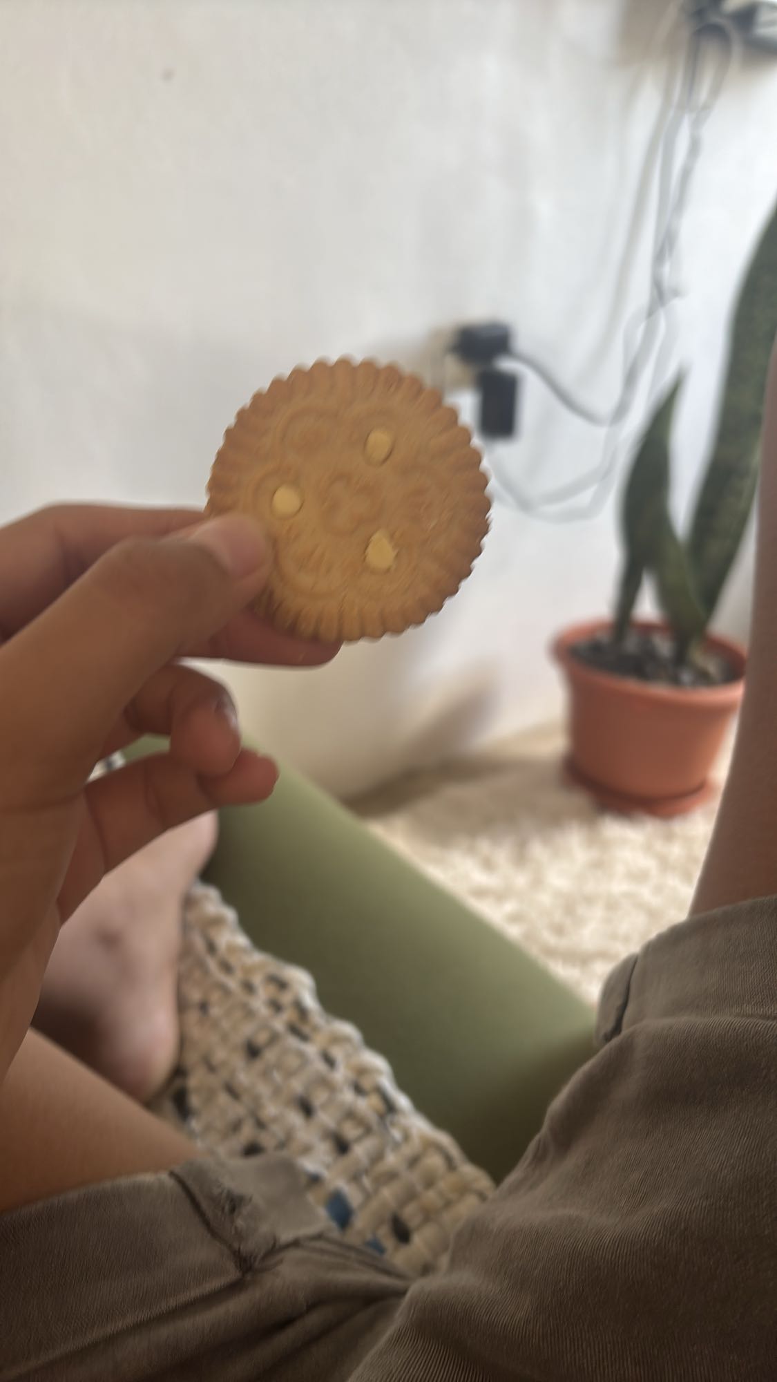 Galleta rellena