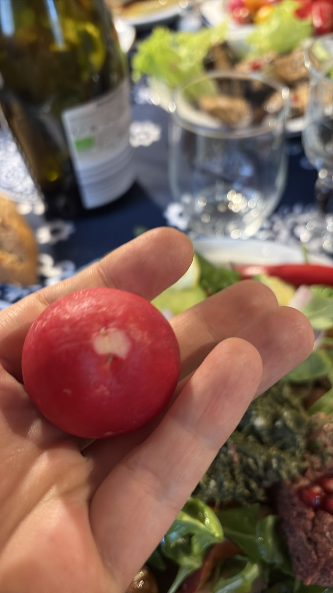 Fresh radish snack