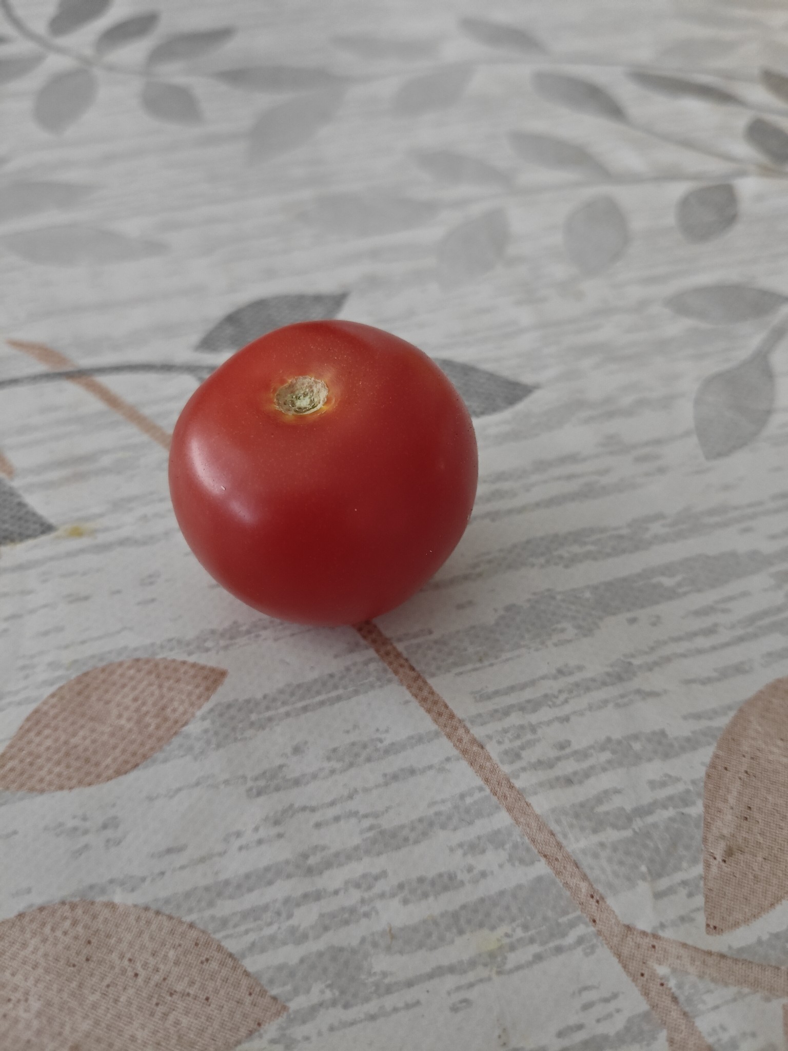Cherry Tomato