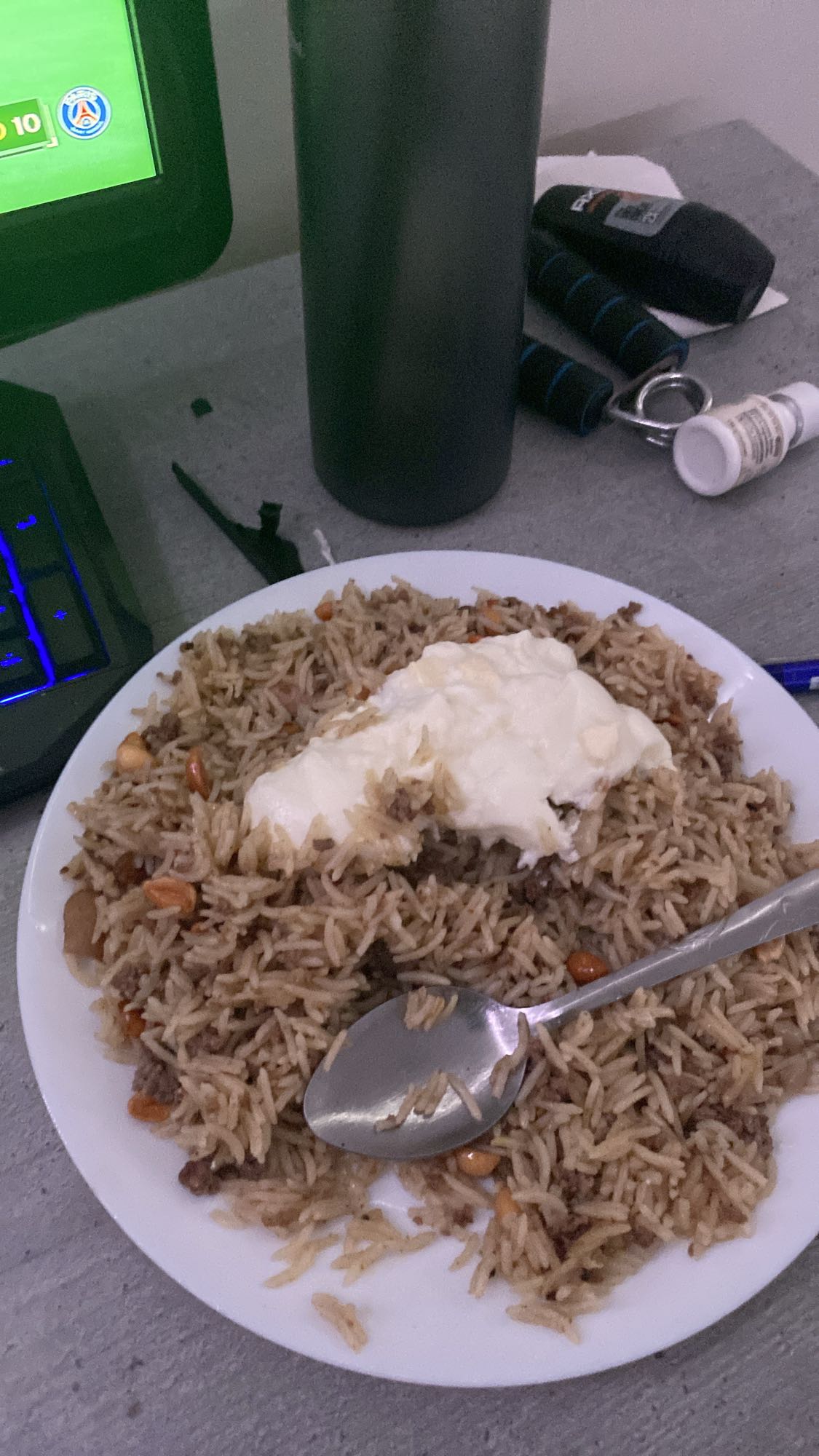 Ris med kött och yoghurt