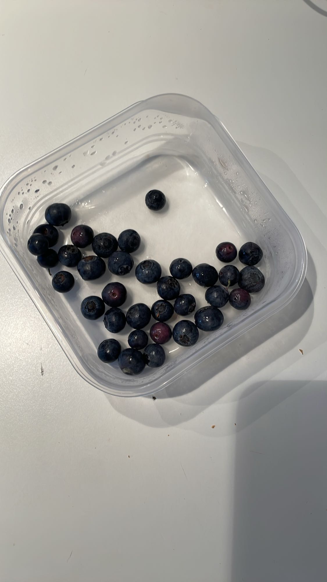 Fresh Blueberries
