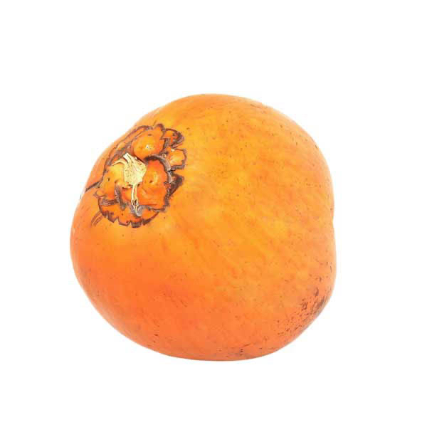 Persimmon and Half King Coconut