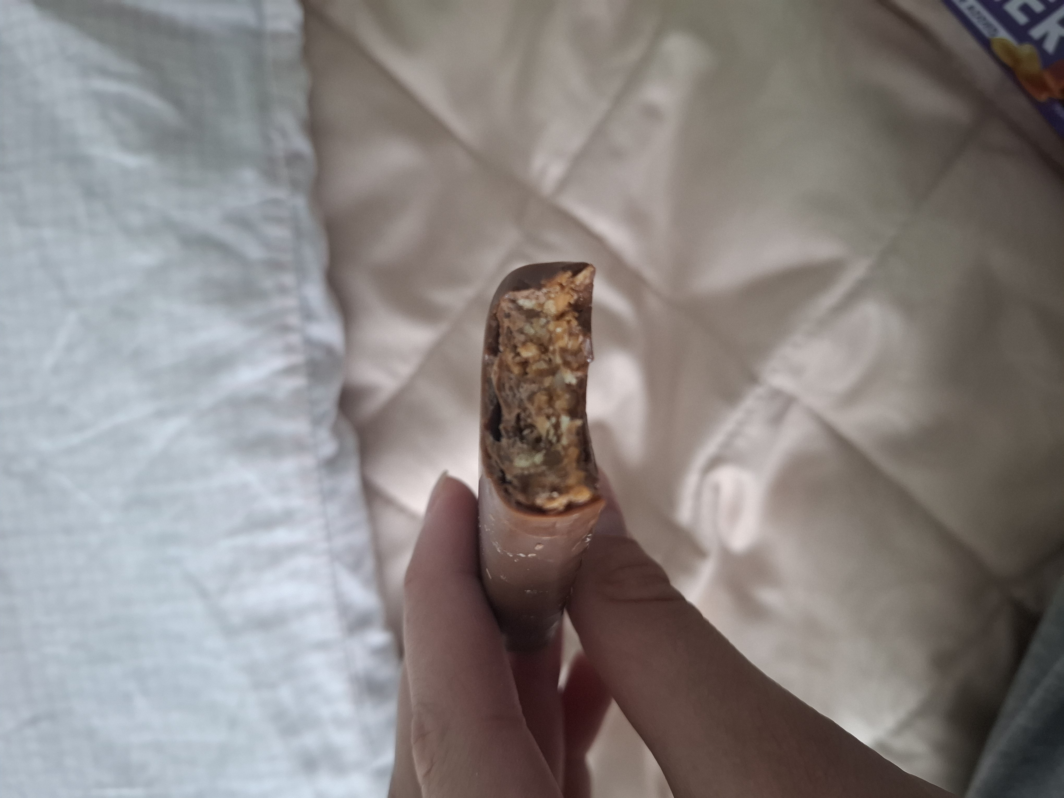 Chocolate Granola Bar