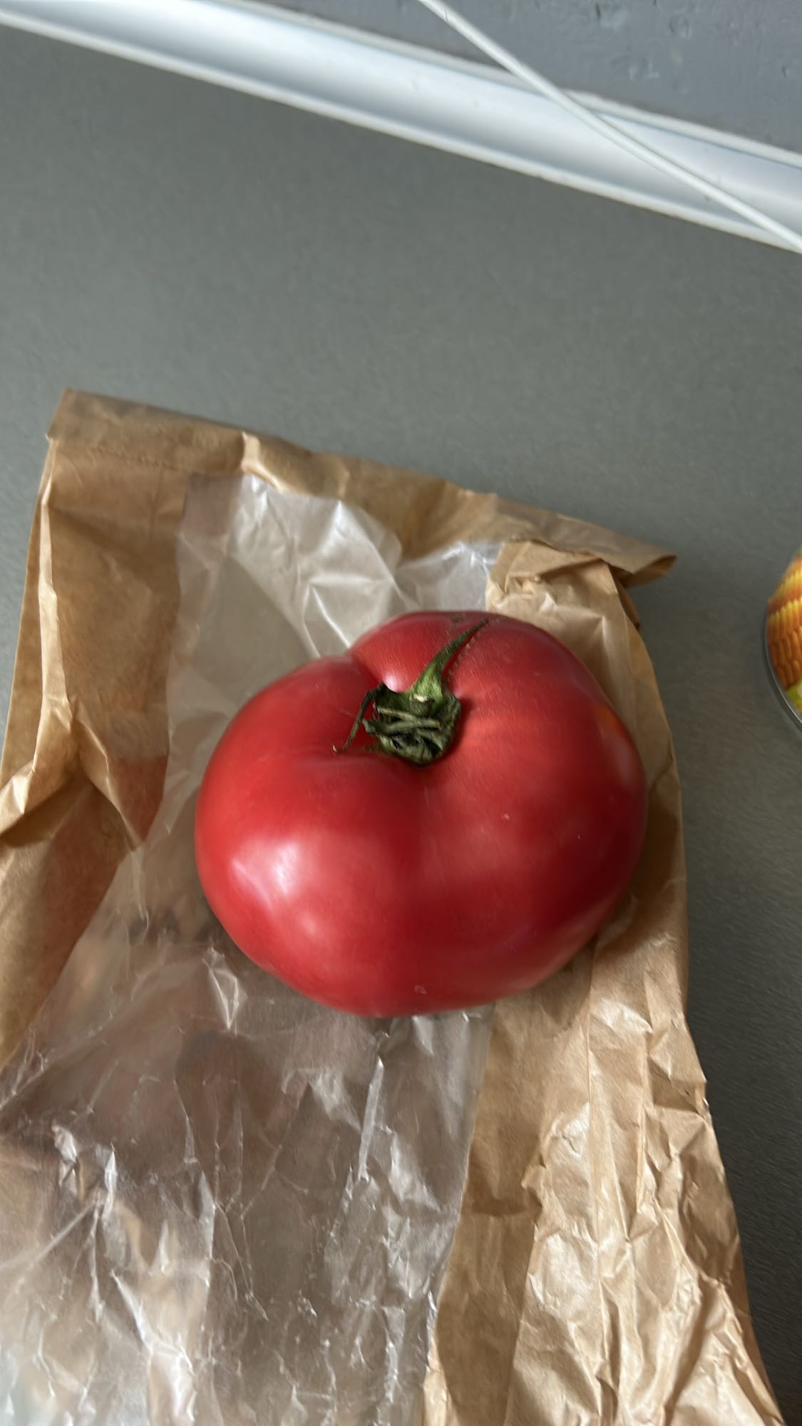 Error analyzing image