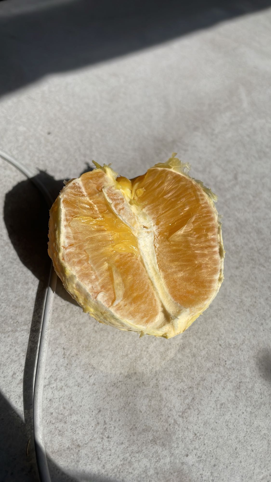 Demi-orange fraîche