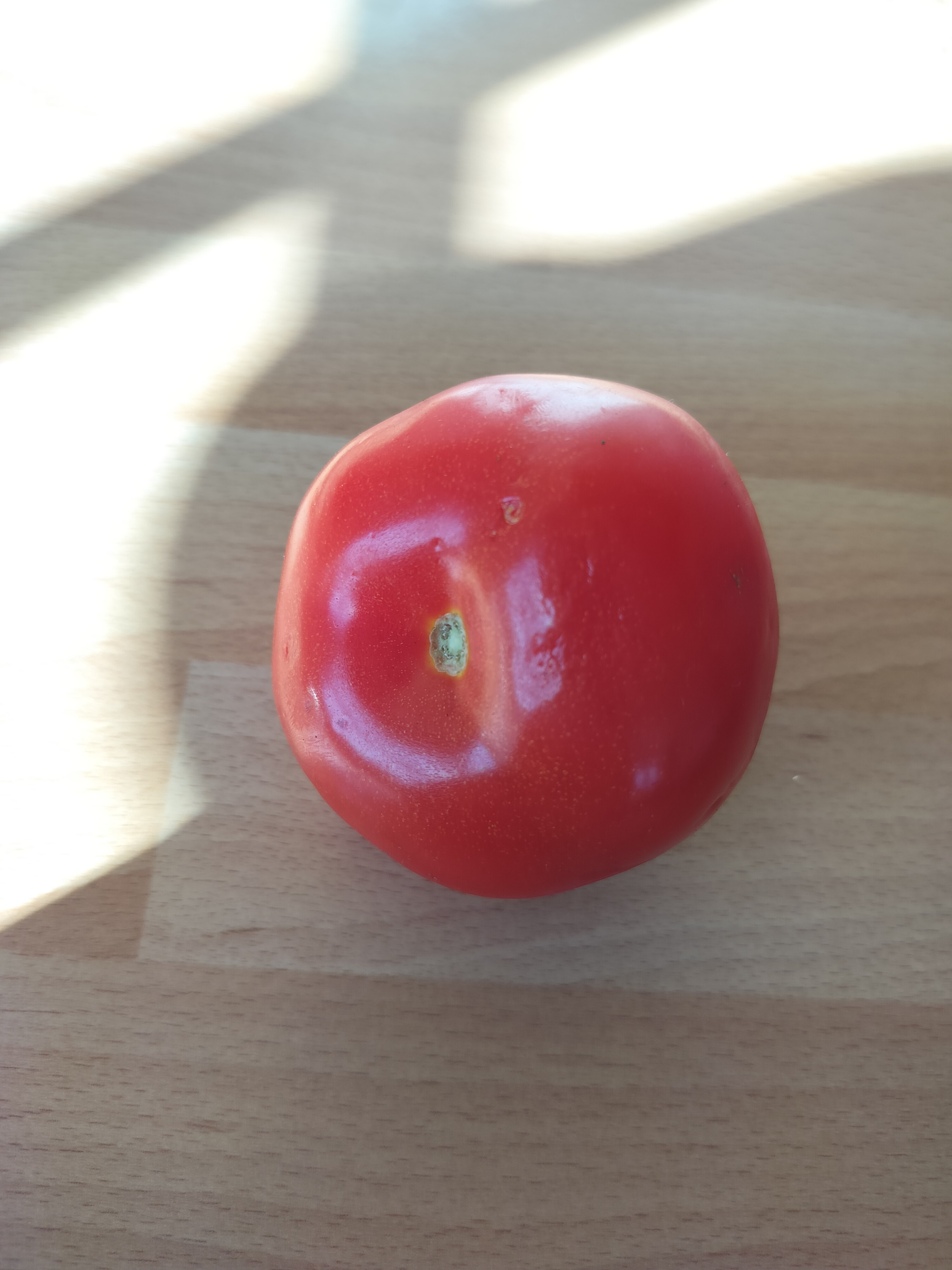 Fresh Tomato
