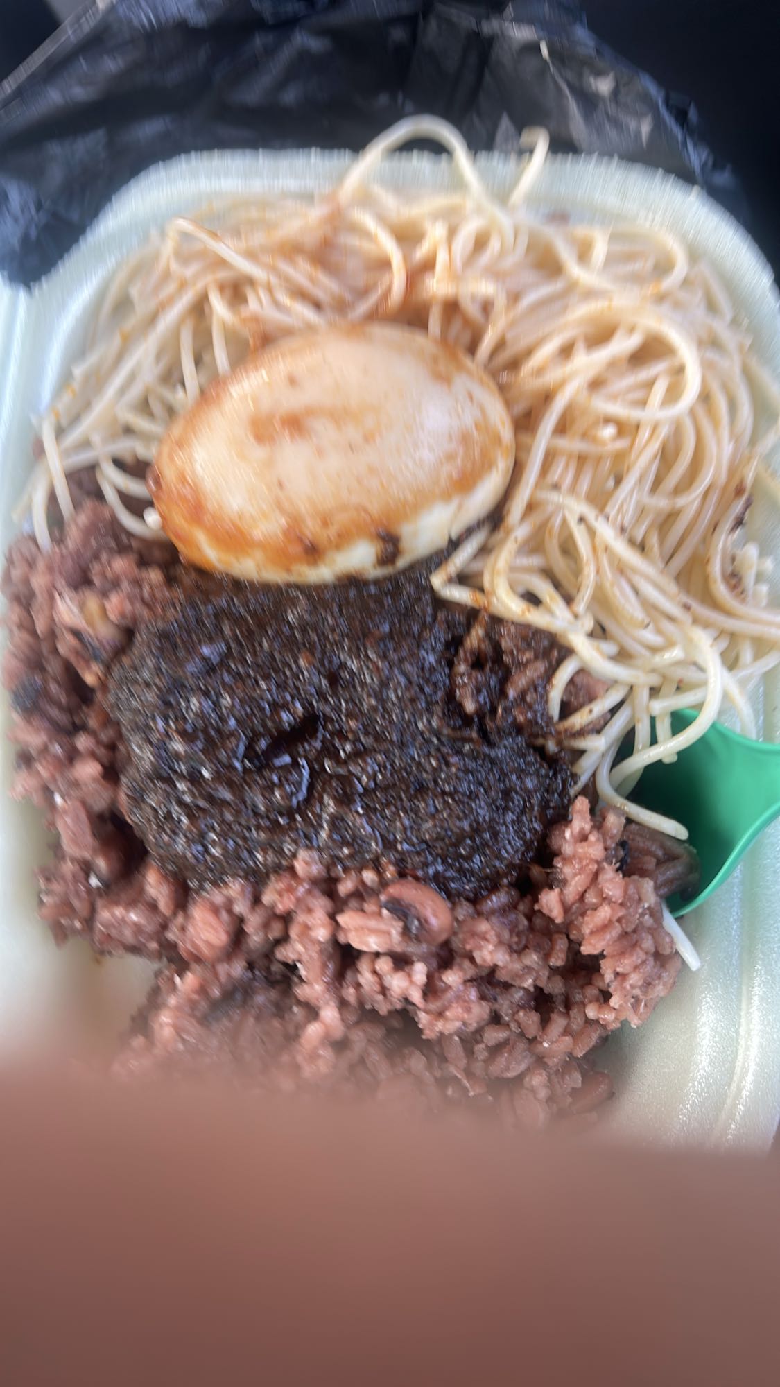 Spaghetti and rice combo