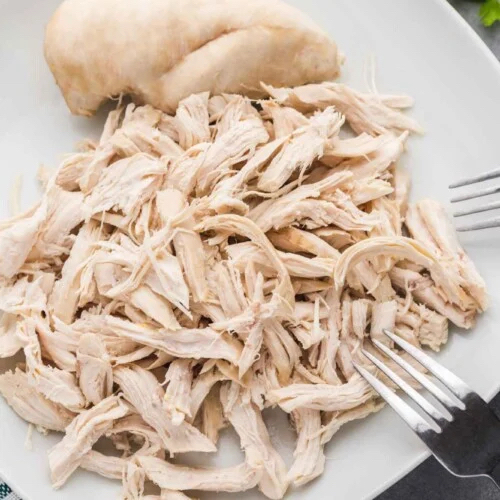 Shredded Chicken Breast