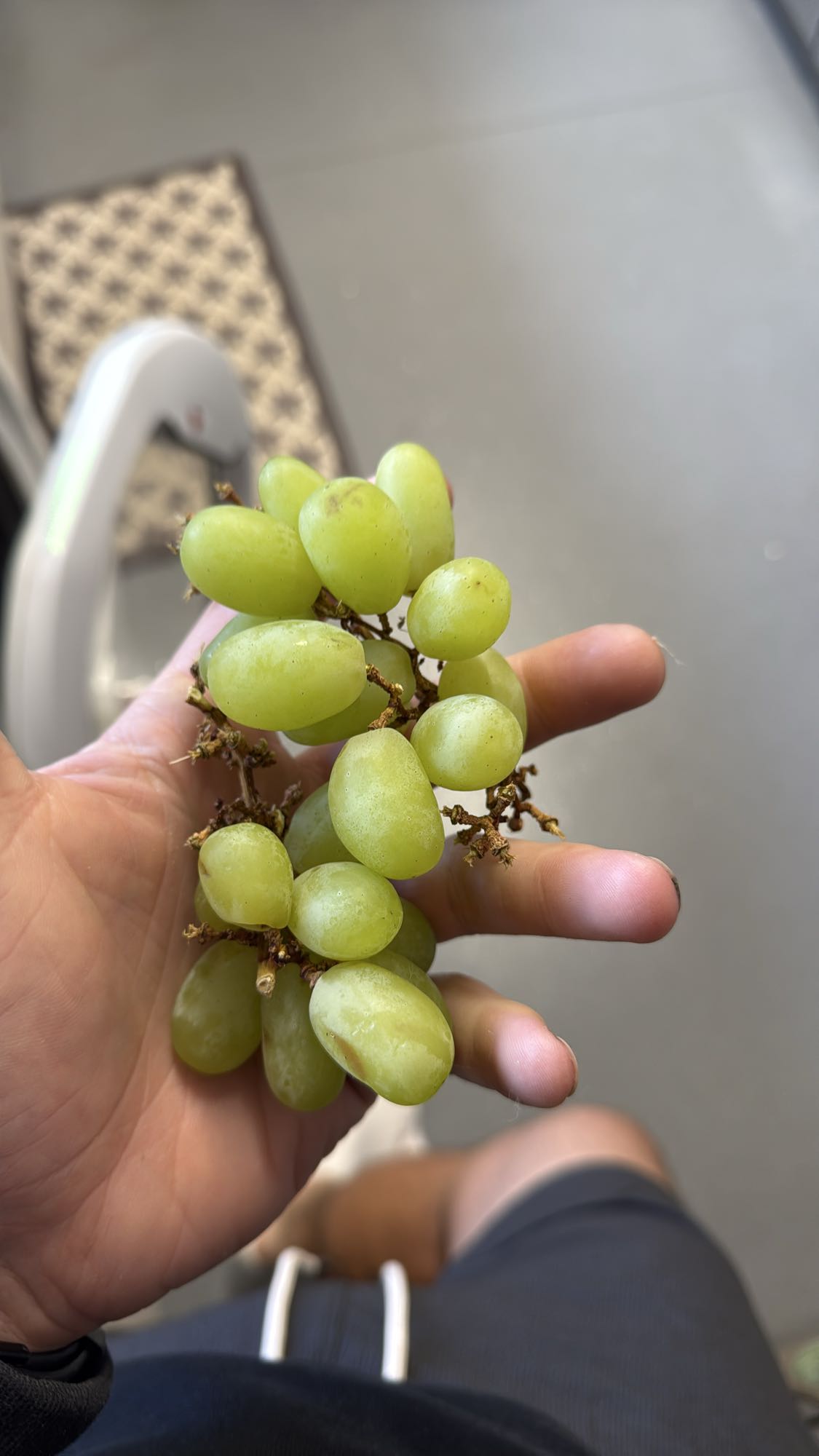 Green Grapes Snack