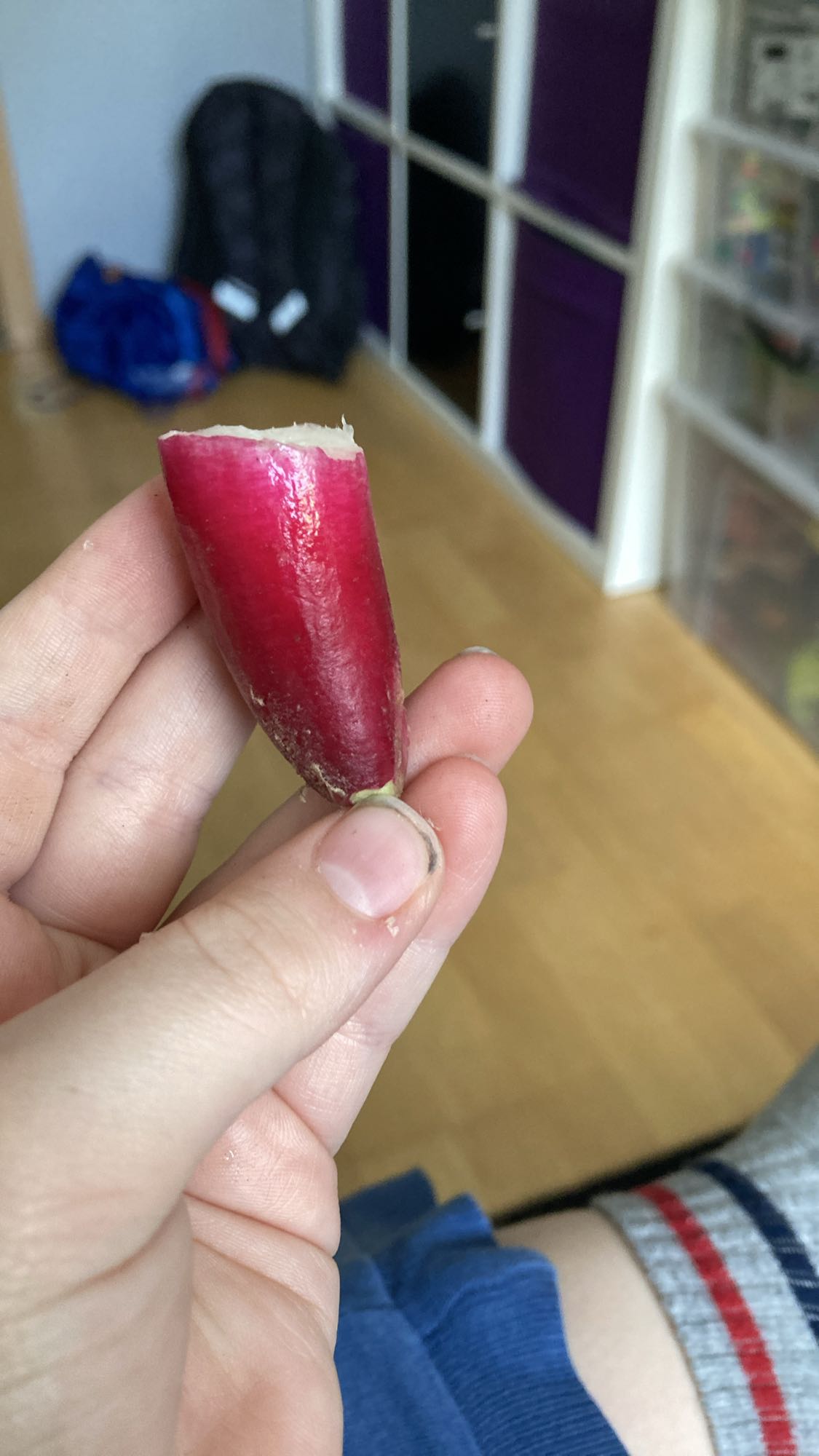 Połowa surowej rzodkiewki