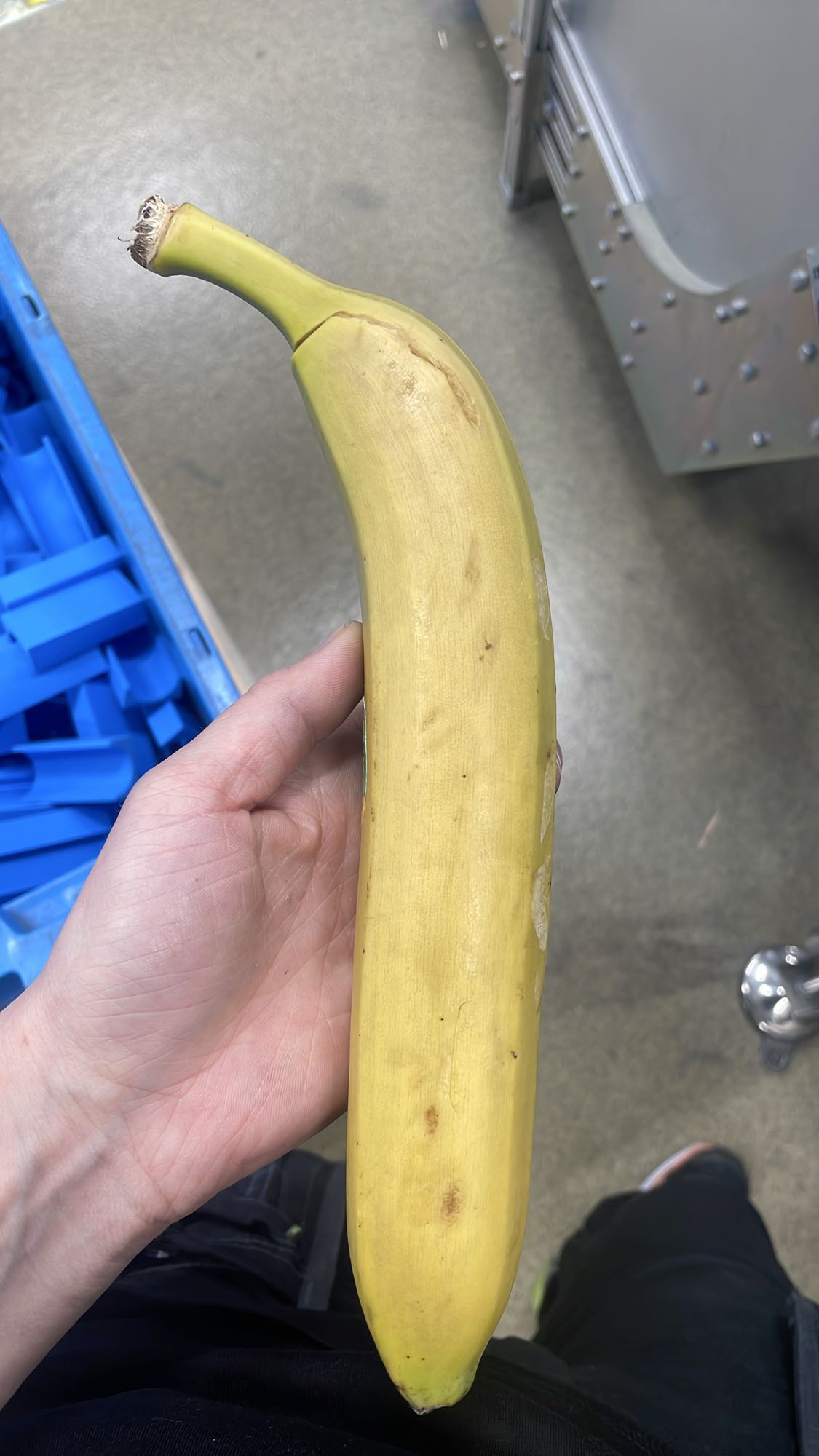 Banan
