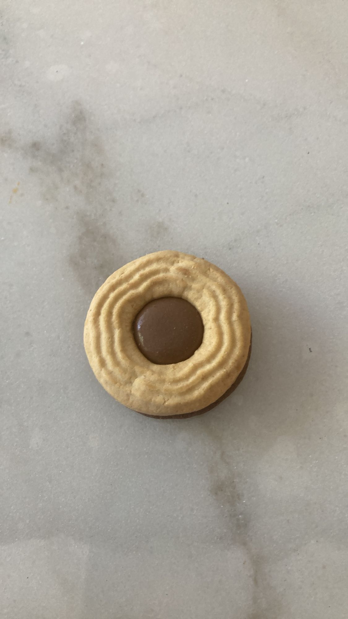 Galleta con chocolate