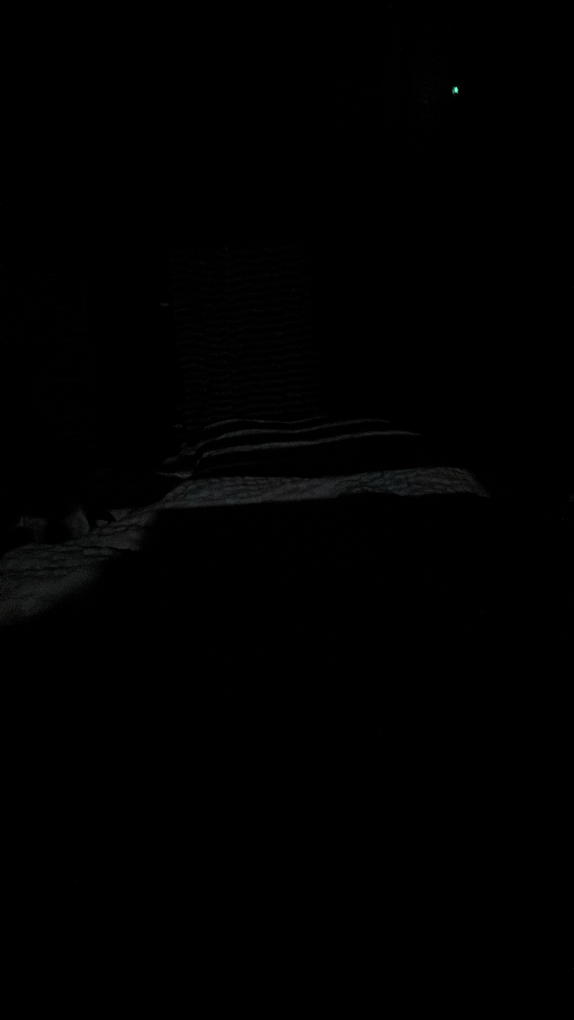 nierozpoznany posiłek