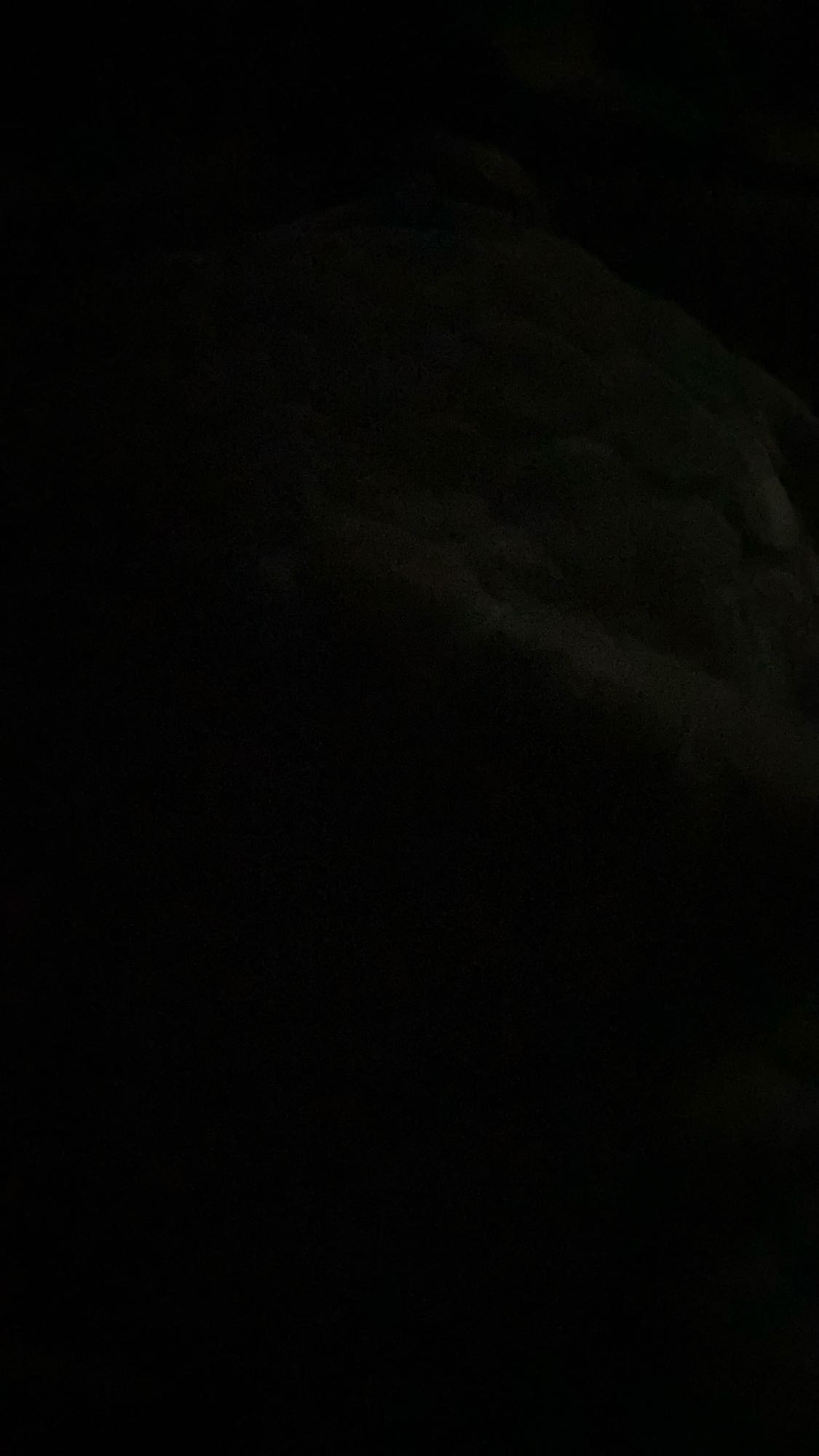 وجبة غير مرئية